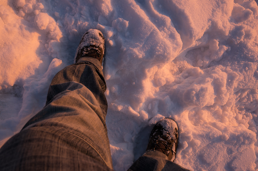 Sony Alpha NEX-6 sample photo. 201302201715.jpg photography