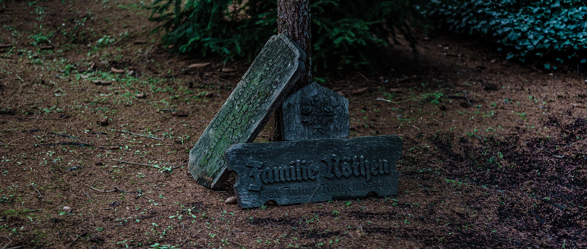 E 50mm F2 sample photo. All the promises we make from the cradle to the grave photography
