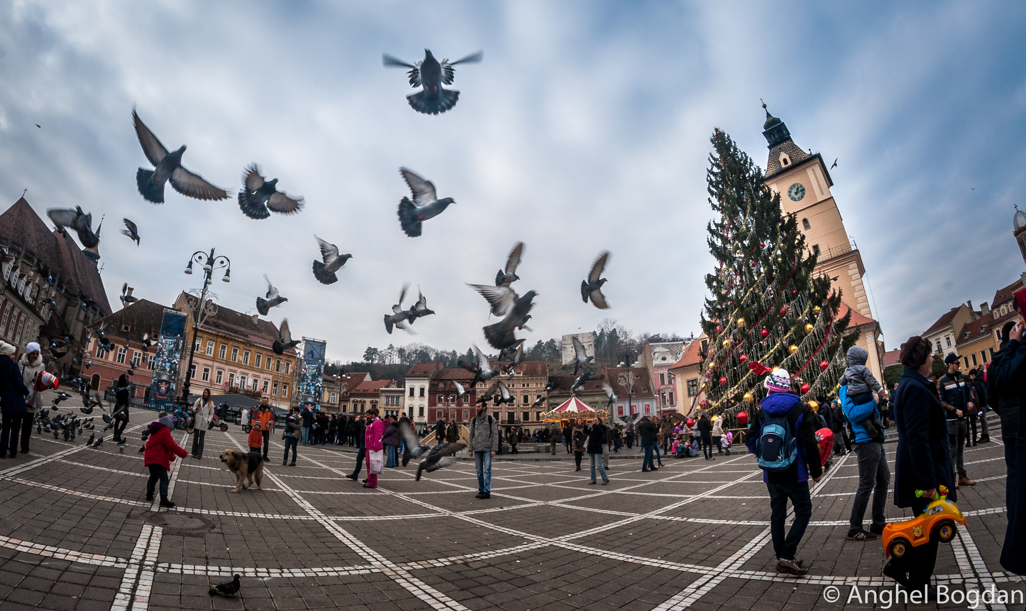 Nikon D90 + Samyang 8mm F3.5 Aspherical IF MC Fisheye sample photo. Brasov photography