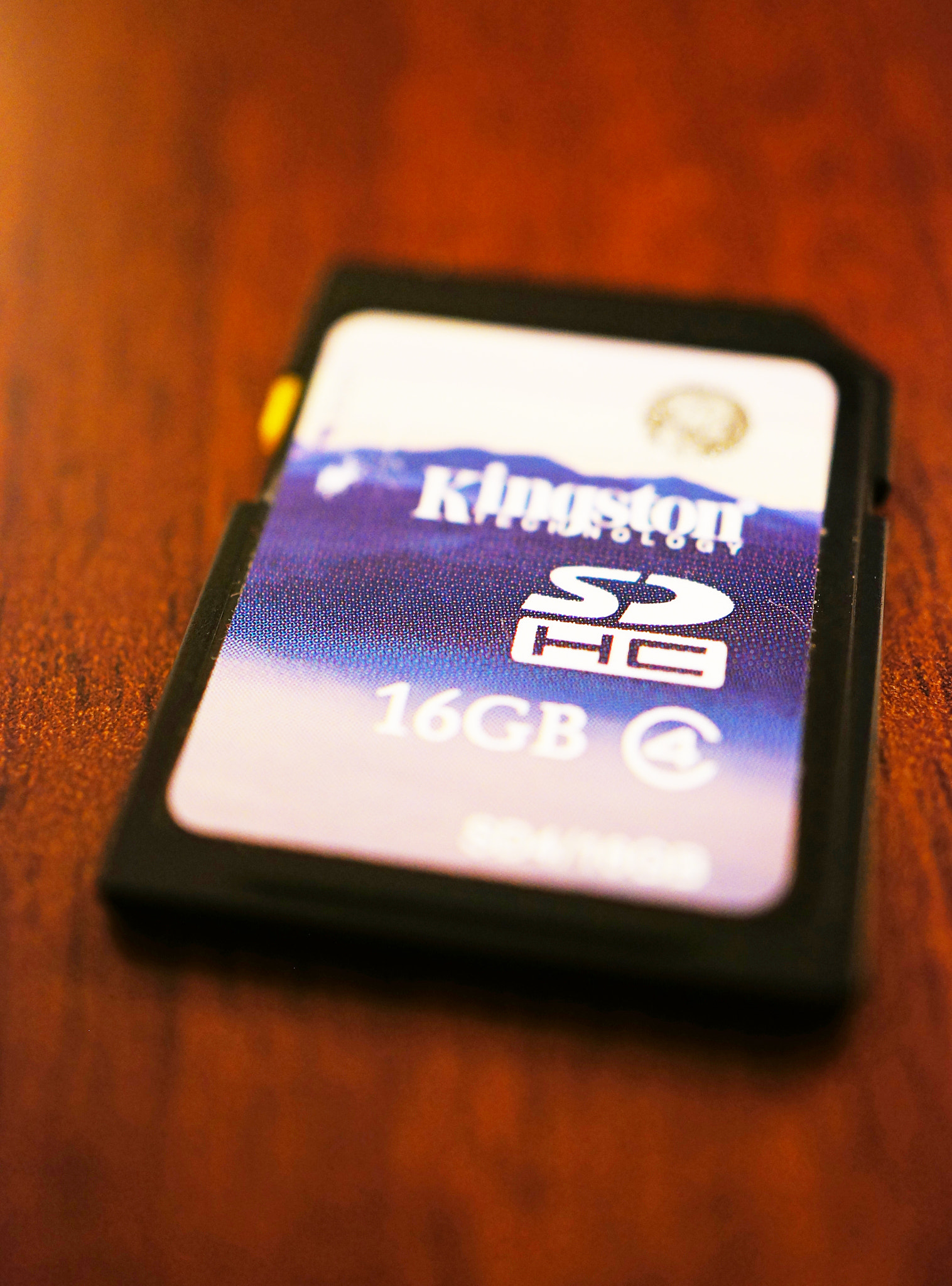 Sony Alpha NEX-5N + Sony E 30mm F3.5 Macro sample photo. Kingston memory card photography