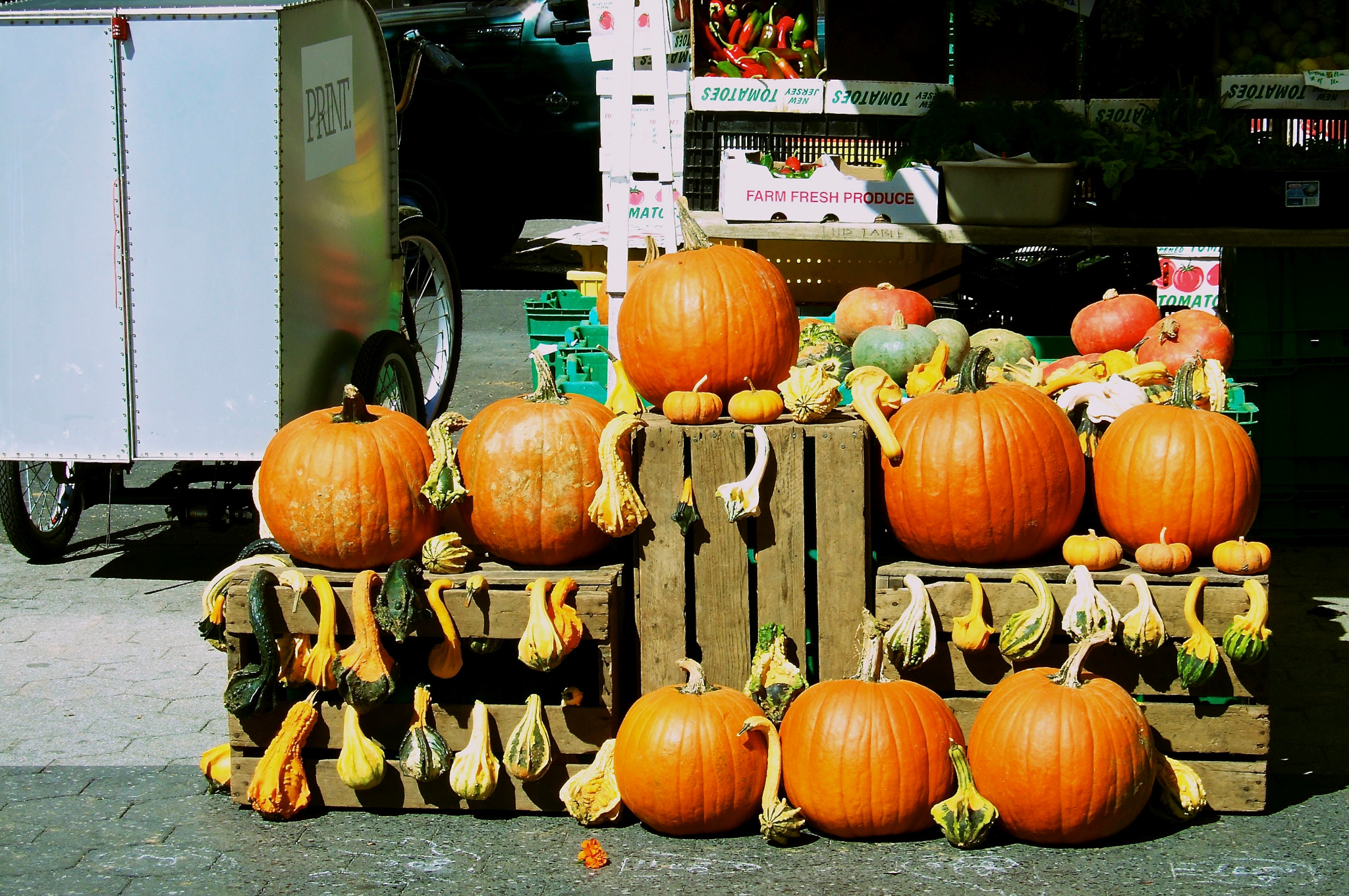 Fujifilm FinePix F11 sample photo. Ebo photography
