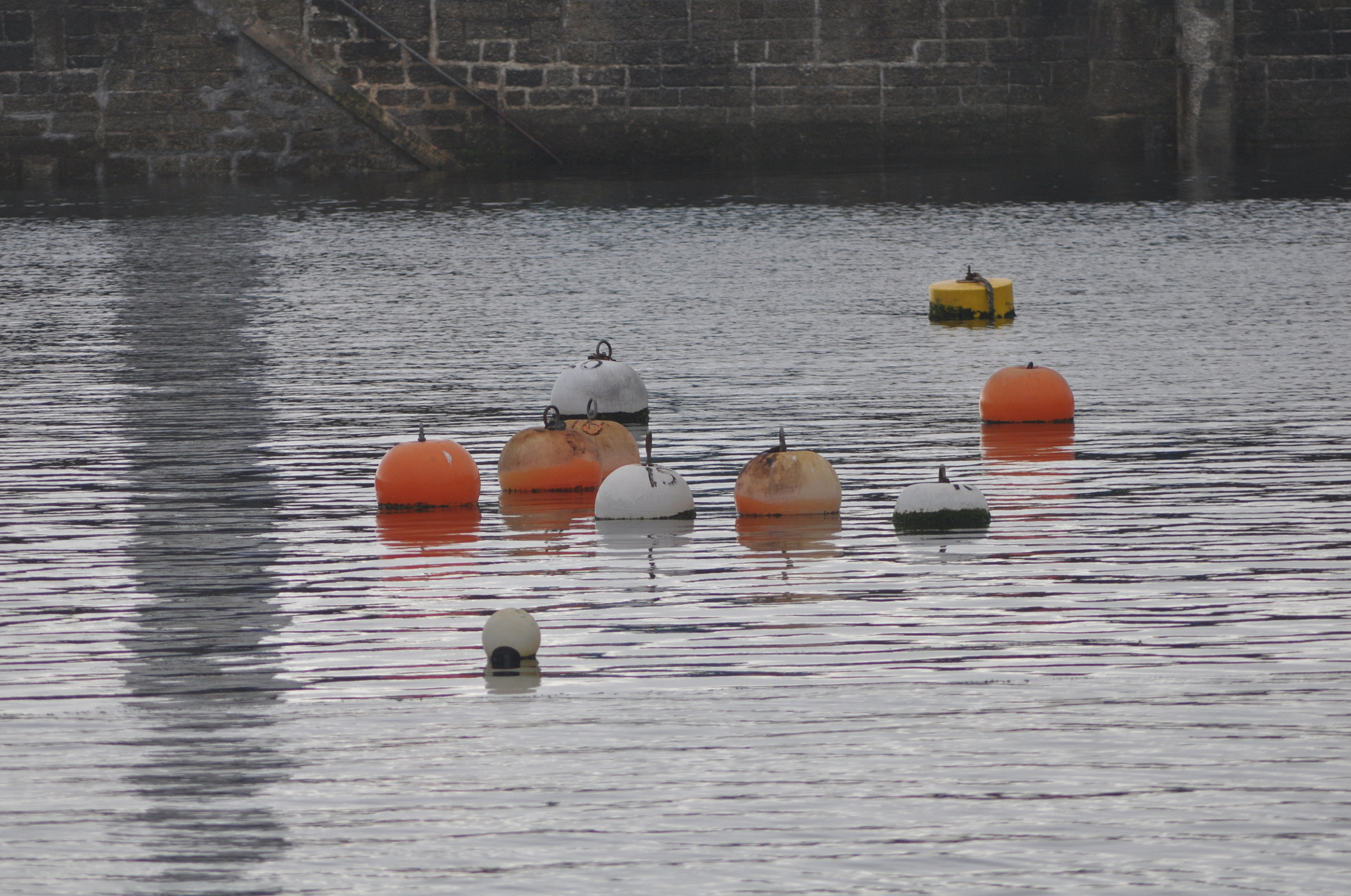AF Zoom-Nikkor 70-300mm f/4-5.6D ED sample photo. Buoys at harbour entrance photography