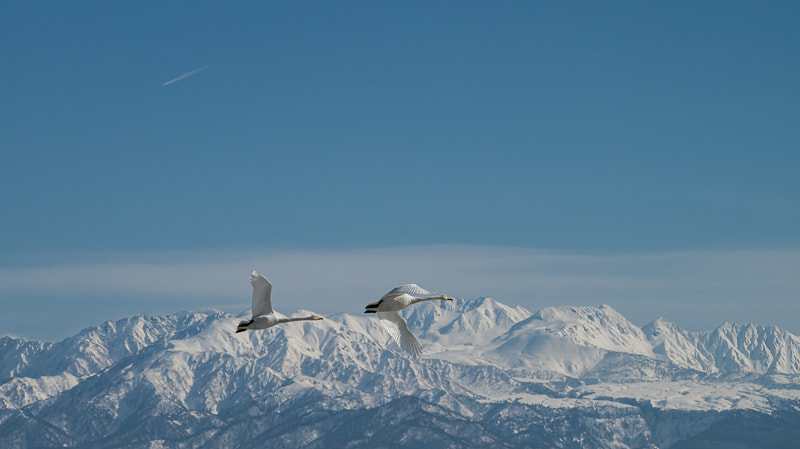 Tamron SP 70-300mm F4-5.6 Di USD sample photo. Great traverse 2 photography