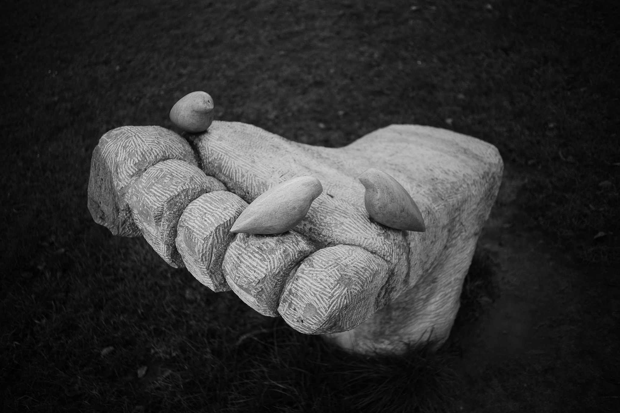 Nikon D700 + AF Nikkor 28mm f/2.8 sample photo. Foot photography