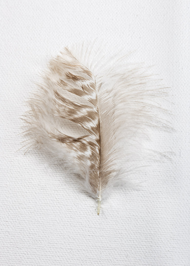 Canon EOS 5DS R + Canon EF 100mm F2.8 Macro USM sample photo. Unknown photography