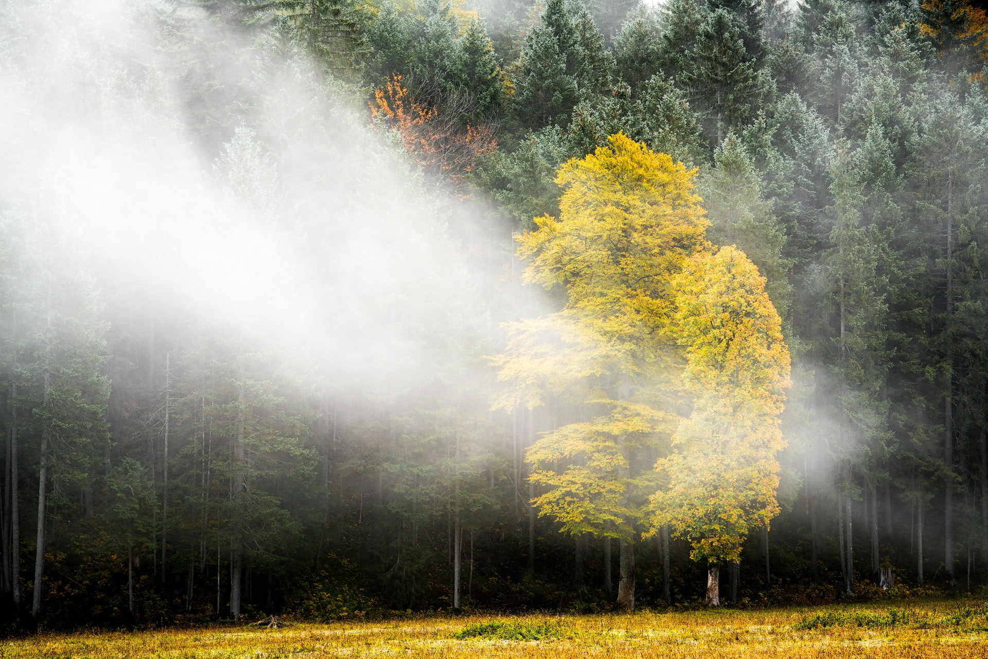 Sony a7R II + Canon EF 70-200mm F4L IS USM sample photo. Großer ahornboden photography