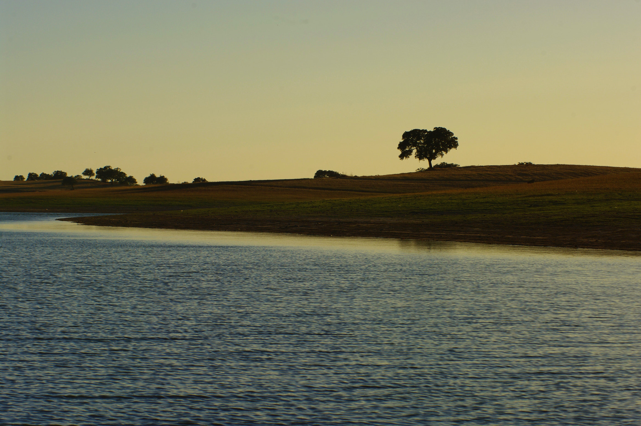 Pentax K20D + smc PENTAX-F 80-200mm F4.7-5.6 sample photo. Lakeside portugal photography