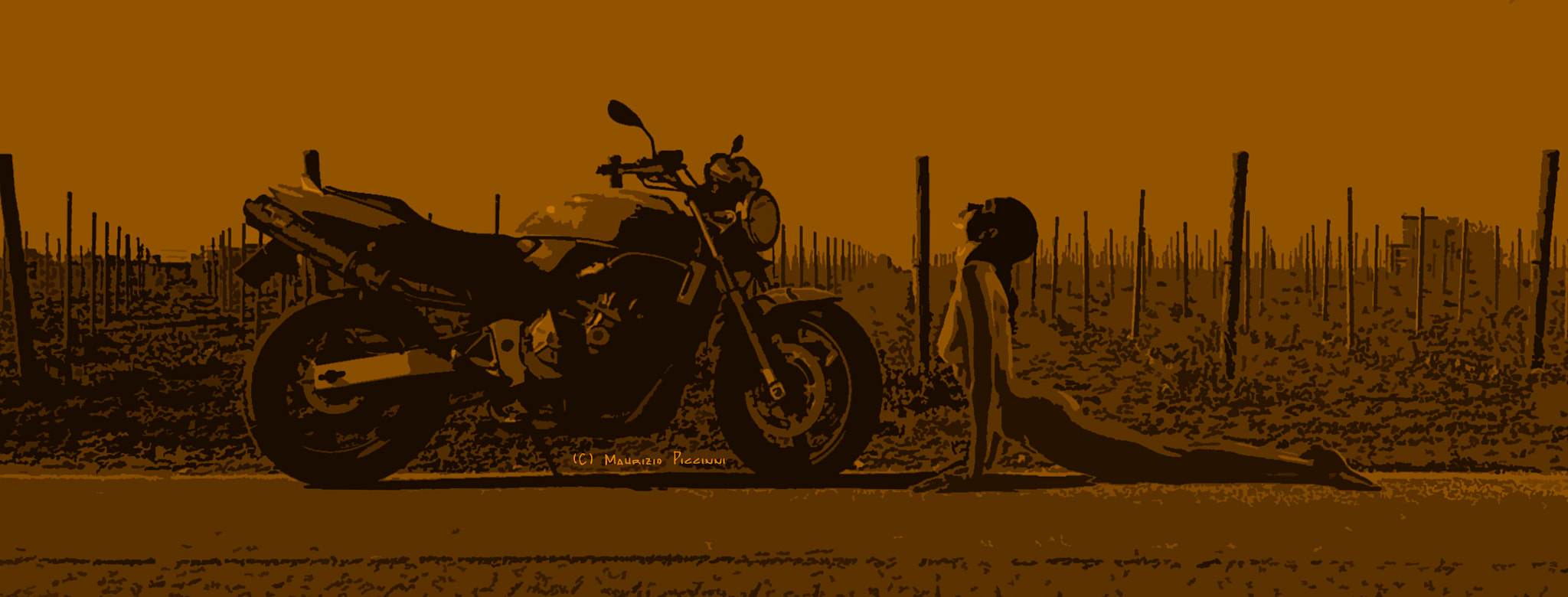 Samsung Galaxy Core Plus sample photo. Honda hornet 600 photography