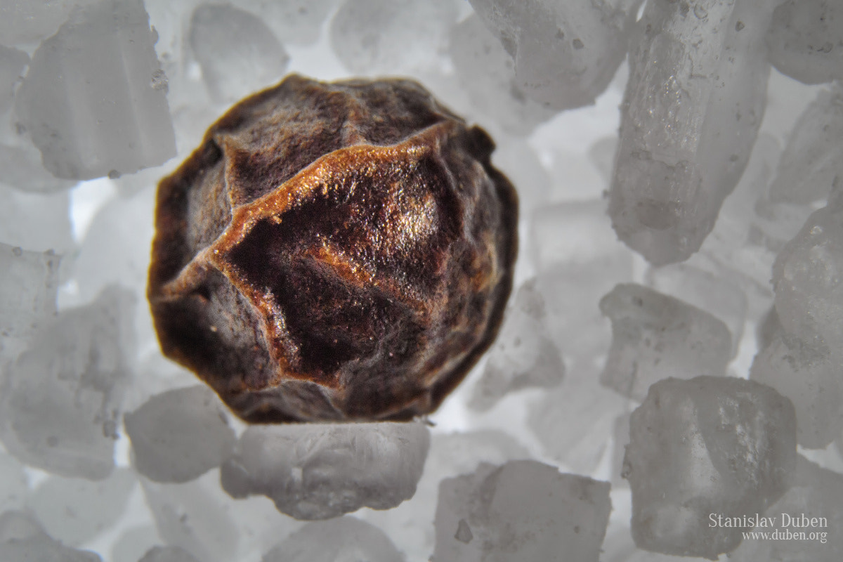 60mm f/2.8G sample photo. Pepper meteorite on salt stones photography