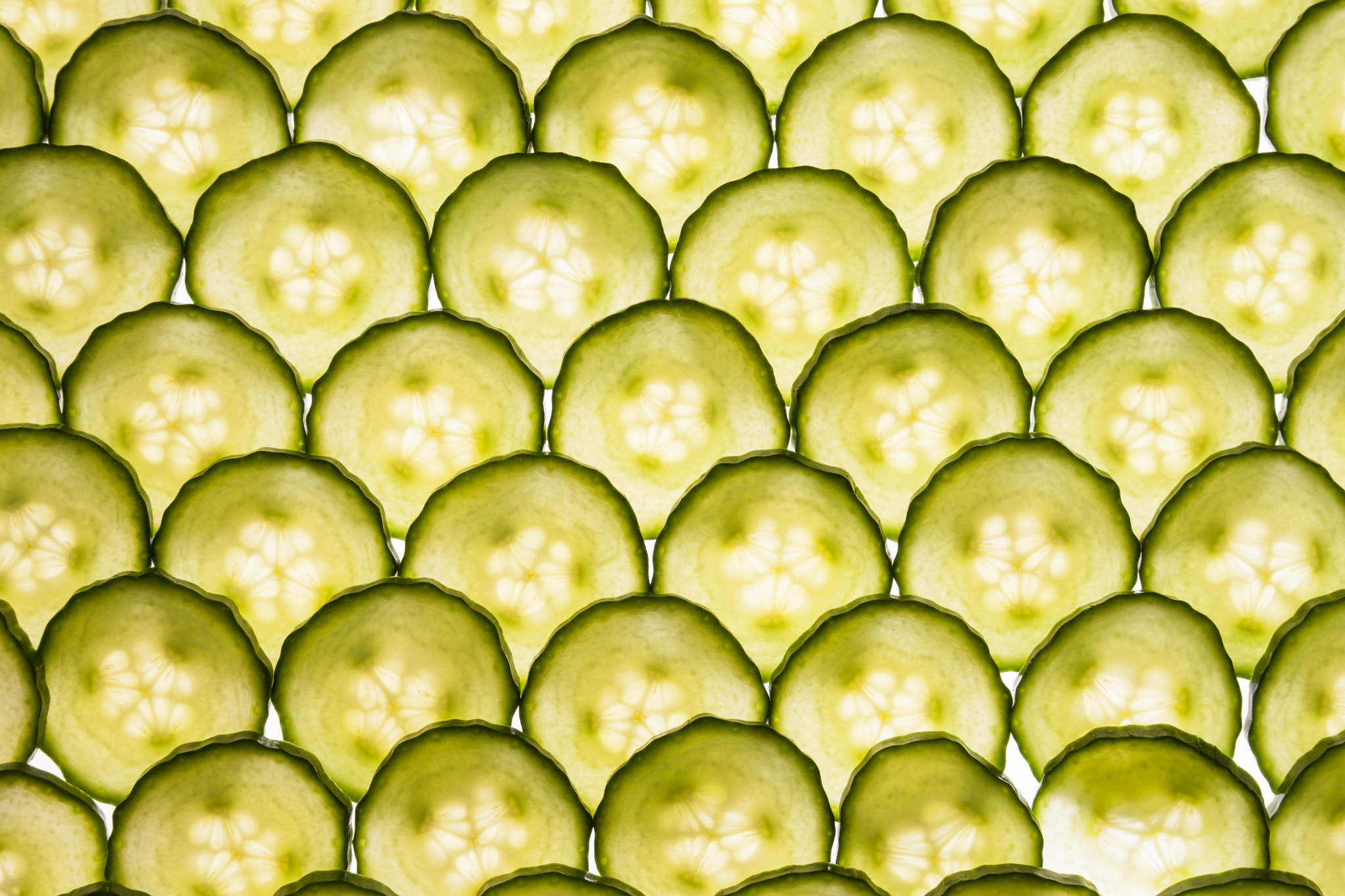 Sony Alpha DSLR-A900 + Minolta AF 28-75mm F2.8 (D) sample photo. Sliced cucumber photography