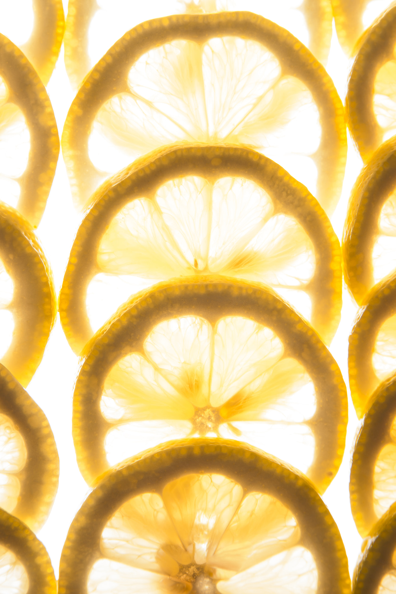 Sony Alpha DSLR-A900 + Minolta AF 28-75mm F2.8 (D) sample photo. Backlit lemon slices. photography