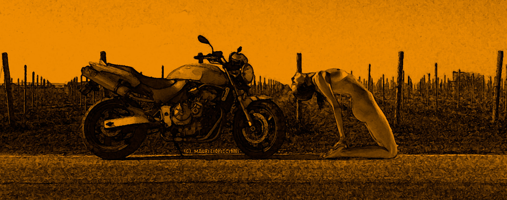 Samsung Galaxy Core Plus sample photo. Honda hornet 600 photography