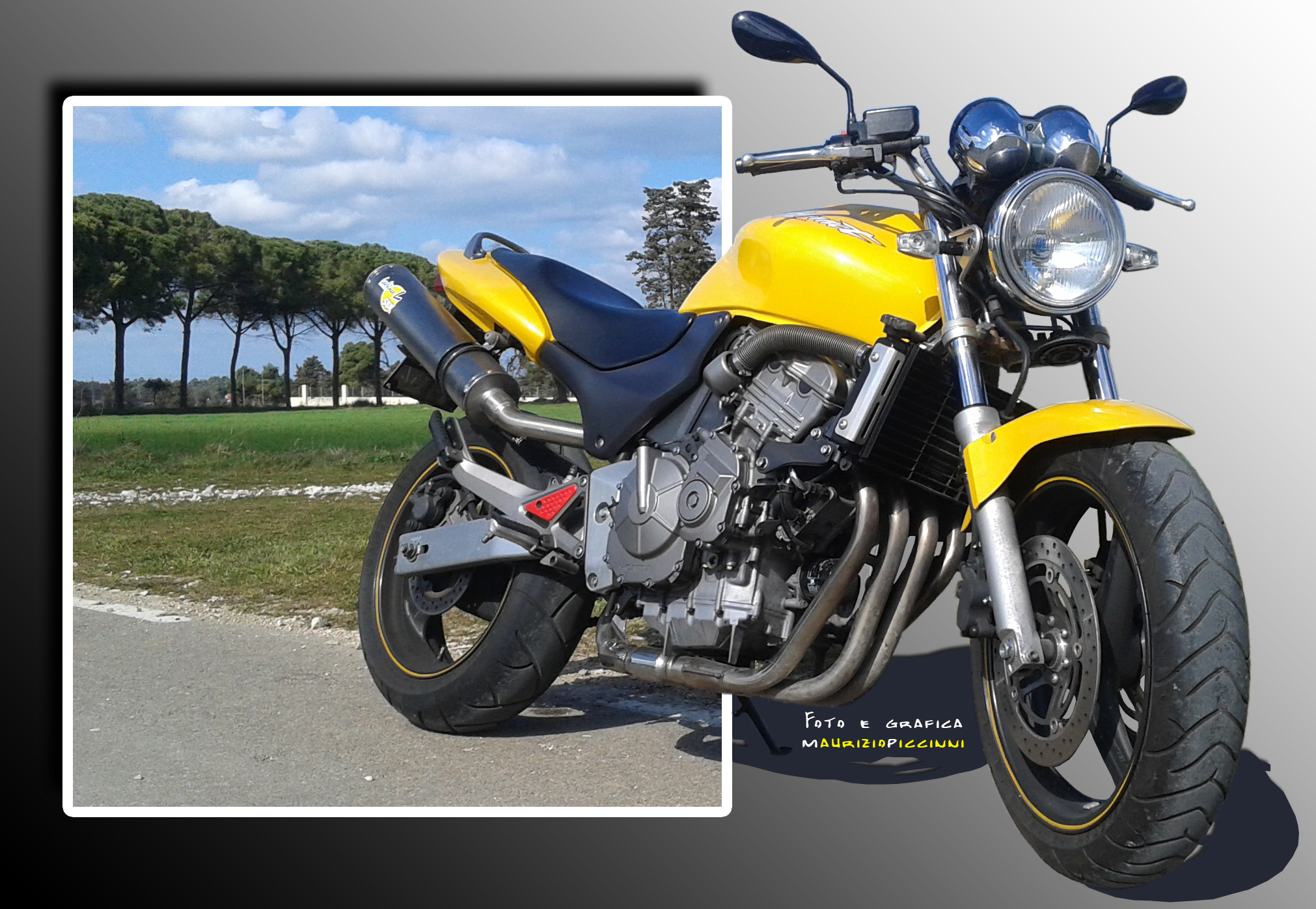 Samsung Galaxy Core Plus sample photo. Honda hornet 600 photography