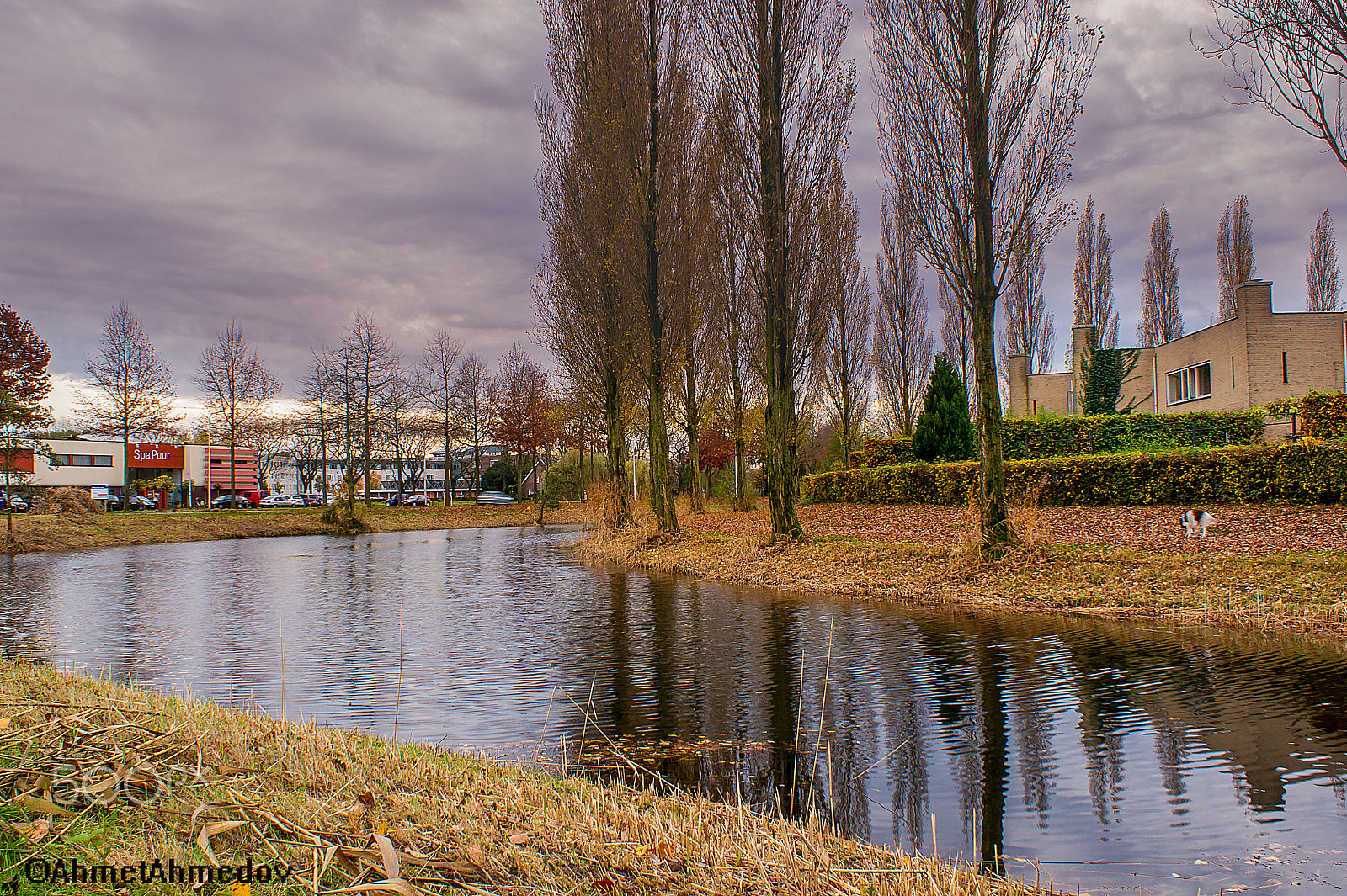 Sony Alpha DSLR-A550 sample photo. Kanal4 photography
