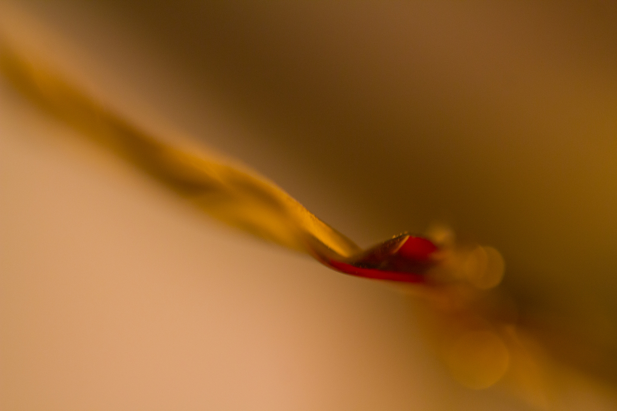Canon EF-S 60mm F2.8 Macro USM sample photo. Twisting through a void photography