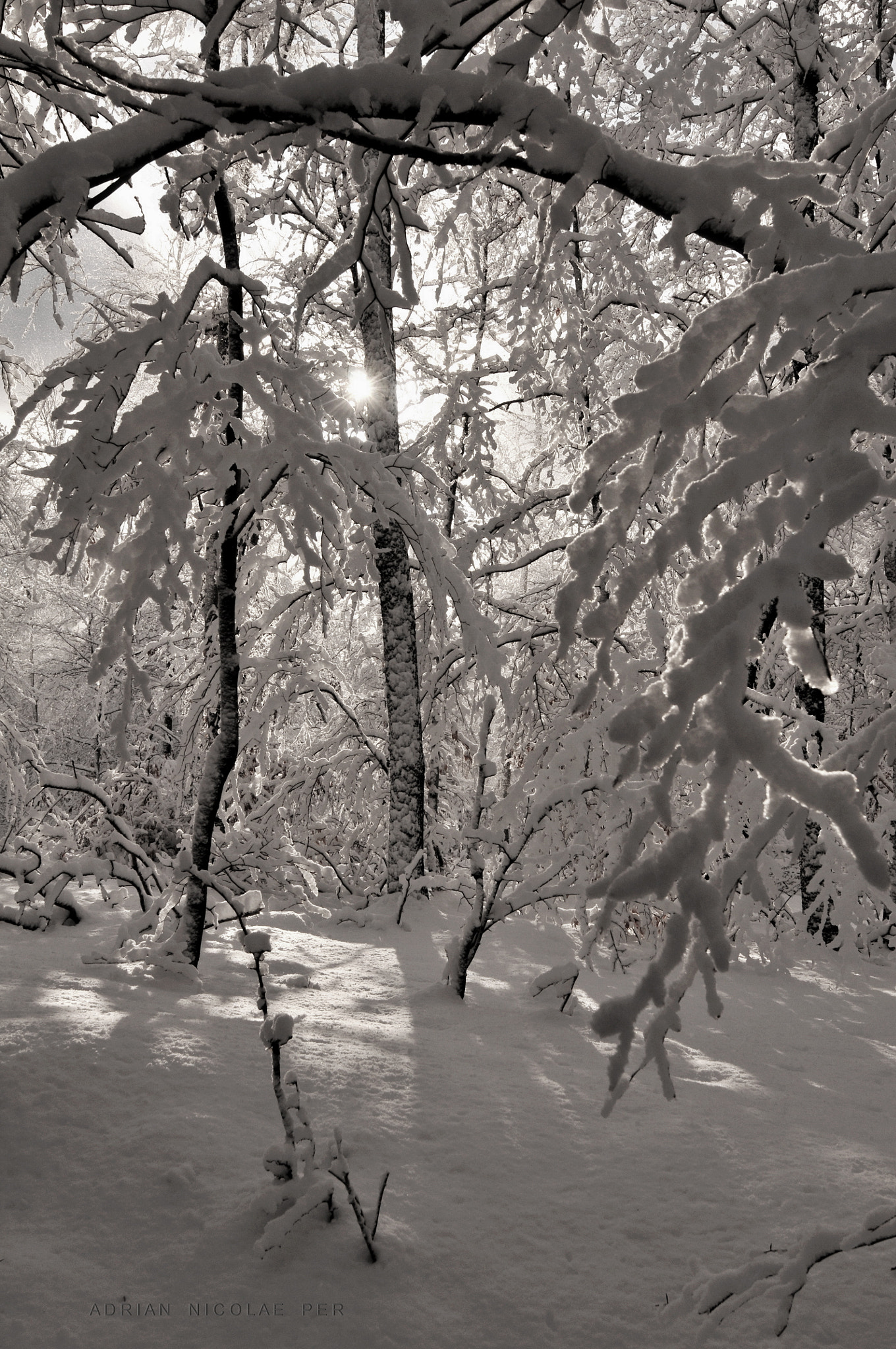 Nikon AF-S Nikkor 16-35mm F4G ED VR sample photo. Winter in my country , romania  ! photography