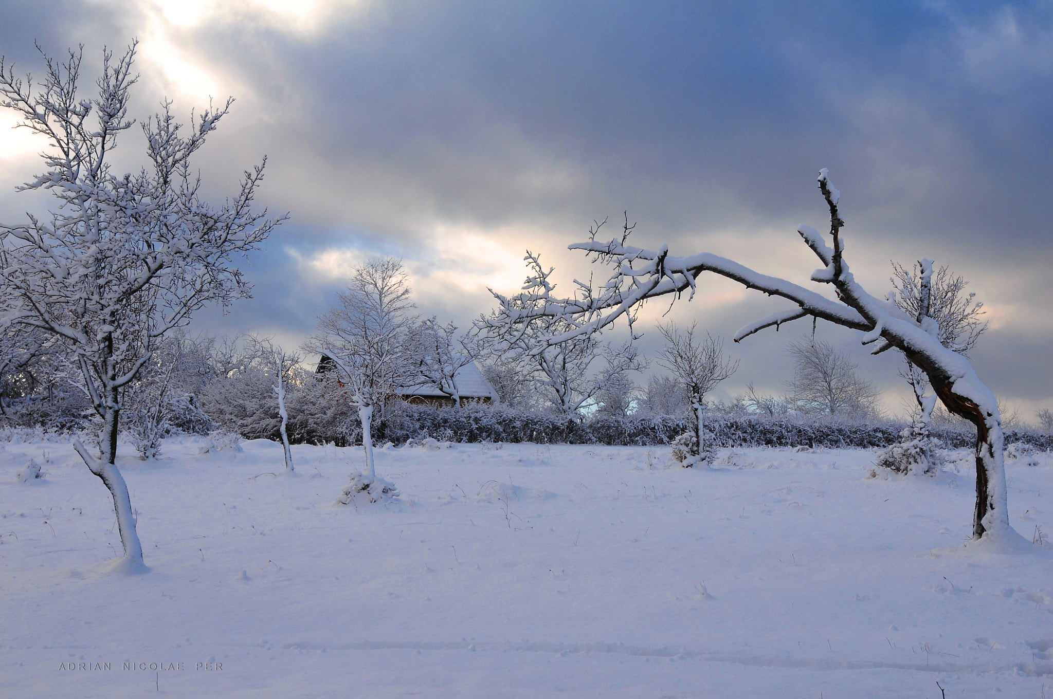 Nikon AF-S Nikkor 16-35mm F4G ED VR sample photo. Winter in my country , romania  ! photography