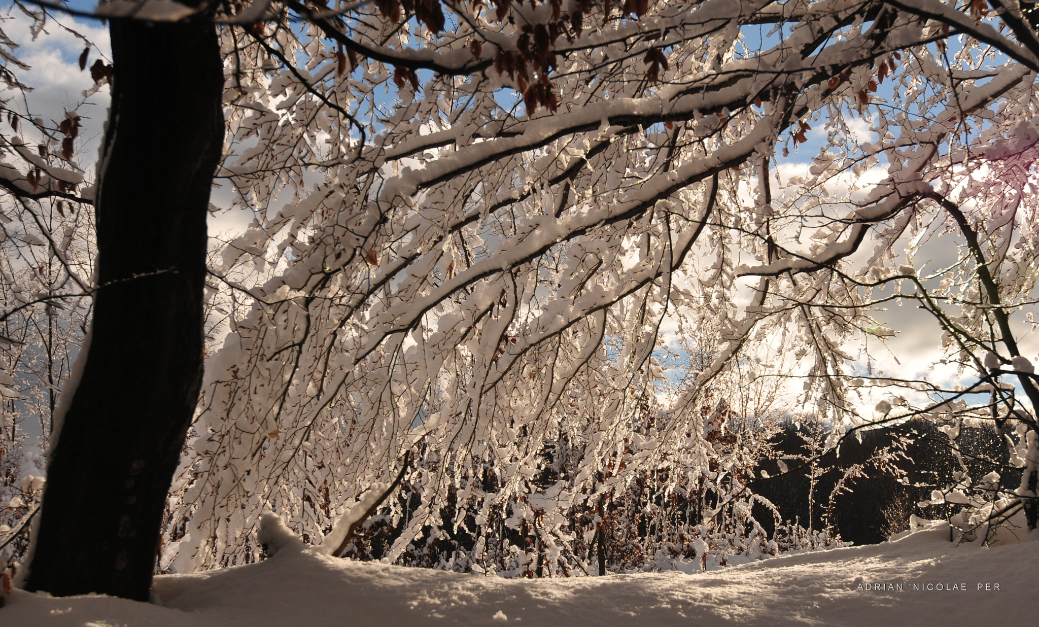 Nikon AF-S Nikkor 16-35mm F4G ED VR sample photo. Winter in my country , romania  ! photography