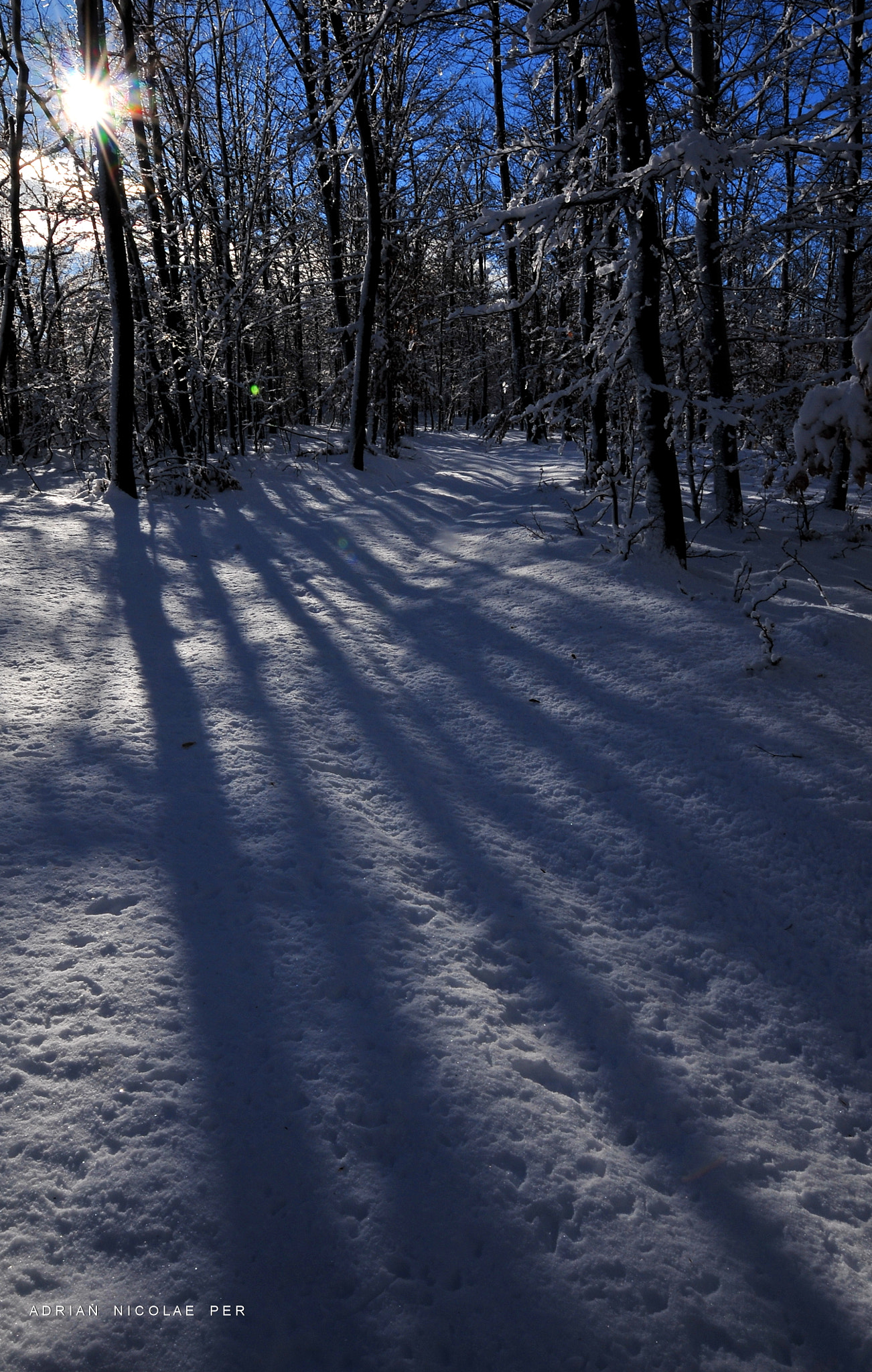 Nikon AF-S Nikkor 16-35mm F4G ED VR sample photo. Winter in my country , romania  ! photography