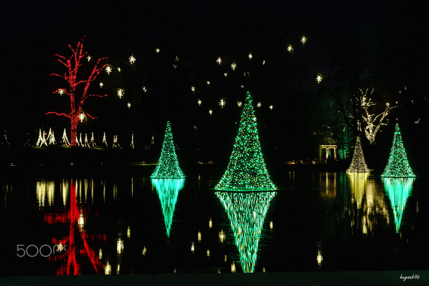 Hasselblad HV sample photo. Longwood garden at night photography