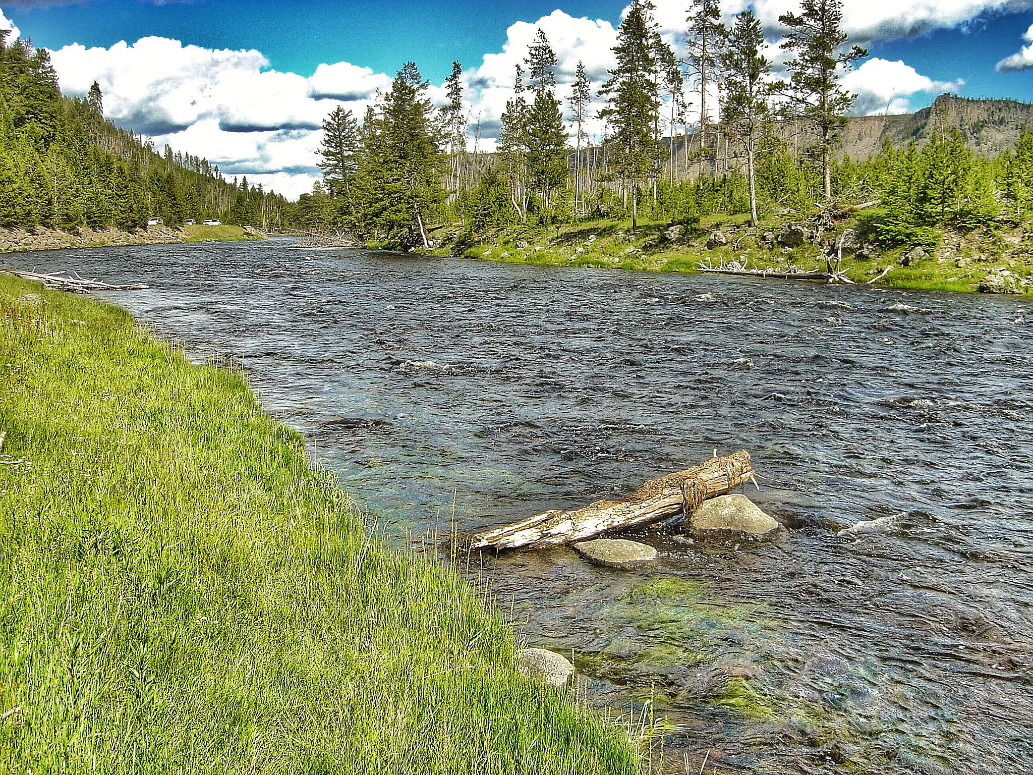 Sony DSC-P10 sample photo. Yellowstone photography