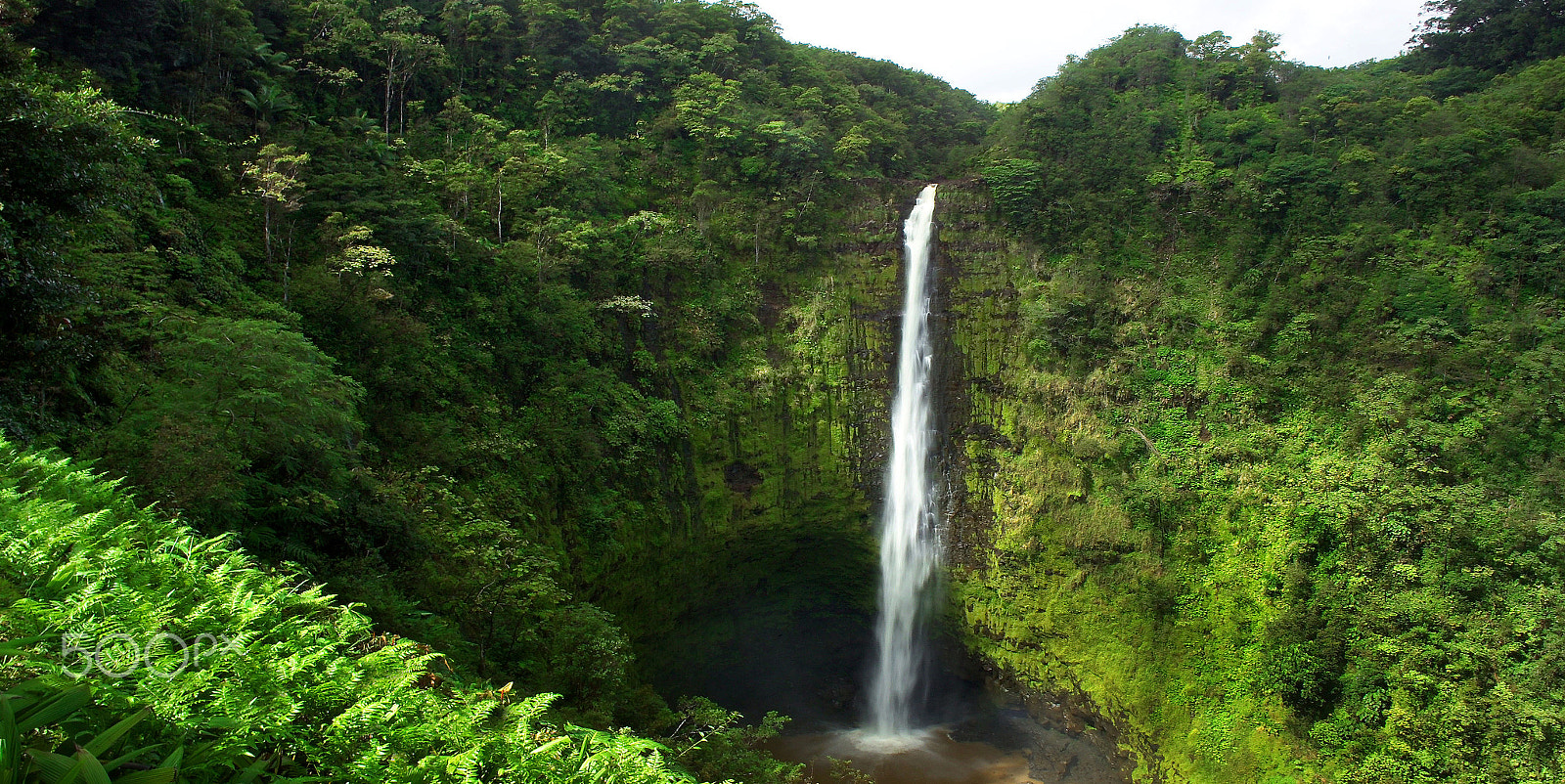 Kodak DCS Pro 14nx sample photo. Akaka falls, hi photography