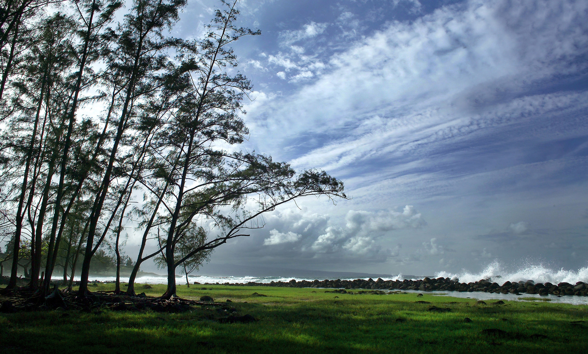 Kodak DCS Pro 14nx sample photo. Beach park hilo, hawaii photography