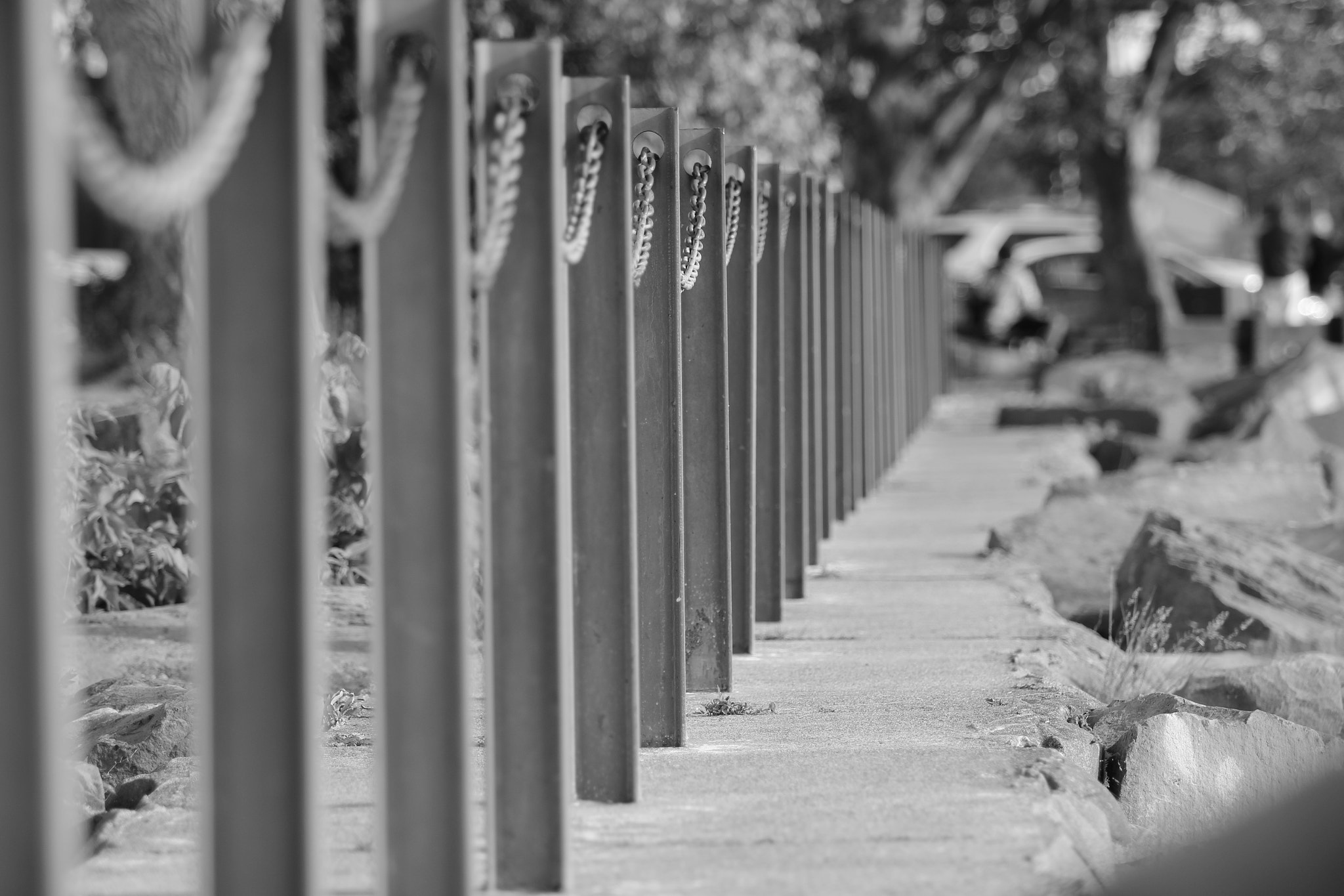 Canon EF 70-200mm F2.8L USM sample photo. Walk this way photography