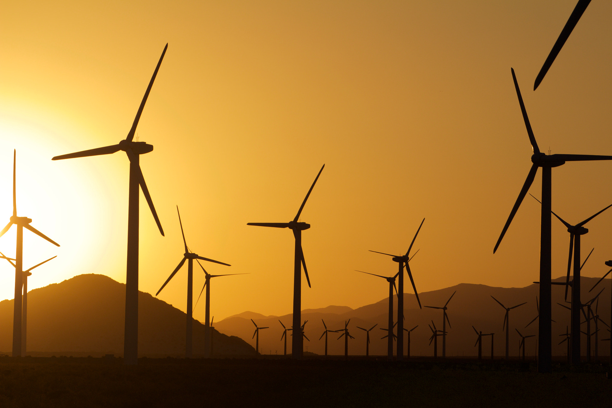 Canon EOS 100D (EOS Rebel SL1 / EOS Kiss X7) sample photo. Wind farm california photography