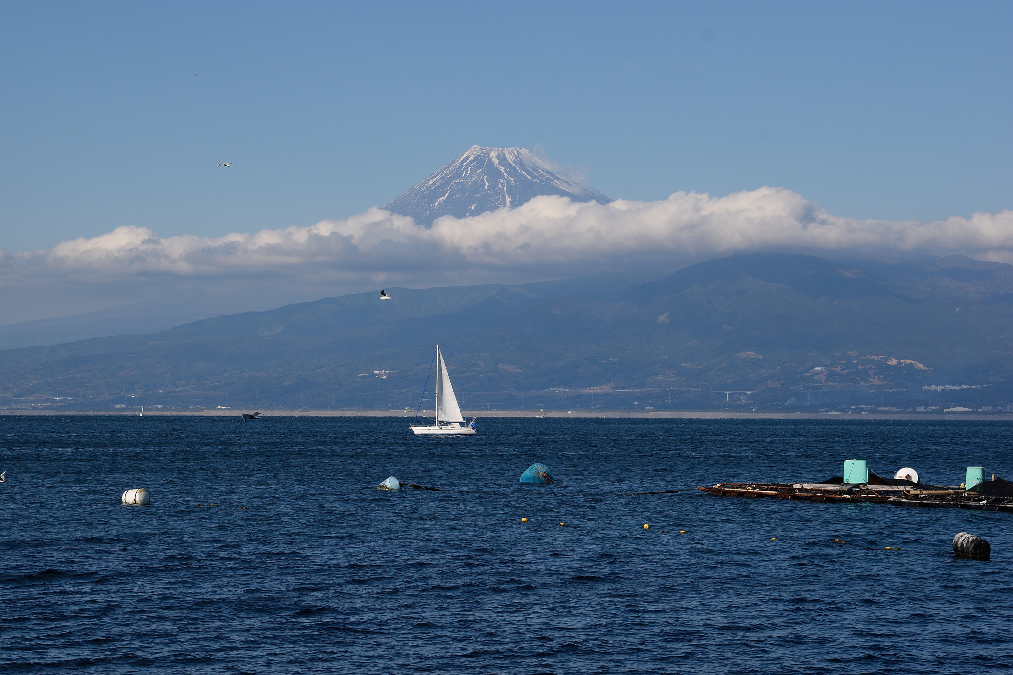 Sigma 17-70mm F2.8-4 DC Macro OS HSM | C sample photo. Mt.fuji20160110 photography
