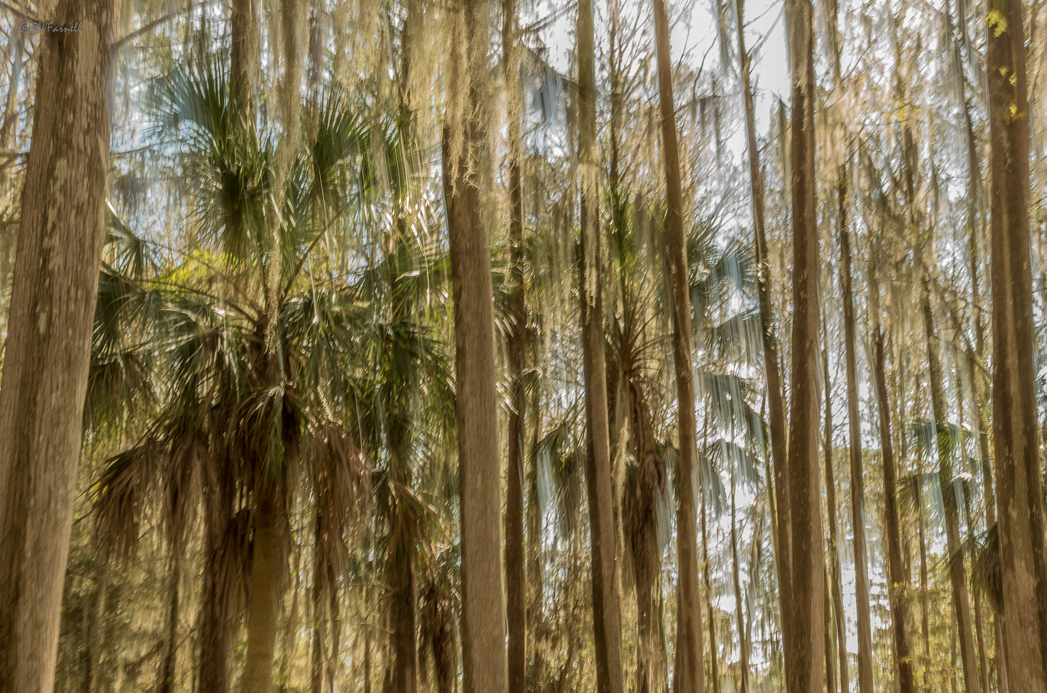 Pentax K-5 IIs sample photo. Abstact photography