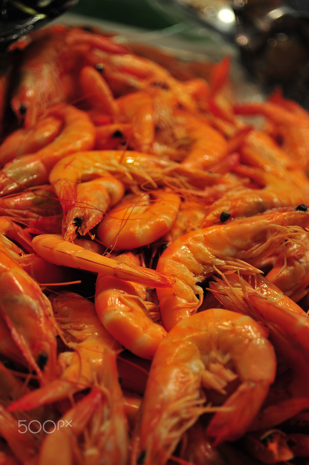 AF Zoom-Nikkor 28-80mm f/3.3-5.6G sample photo. Gambas!! photography