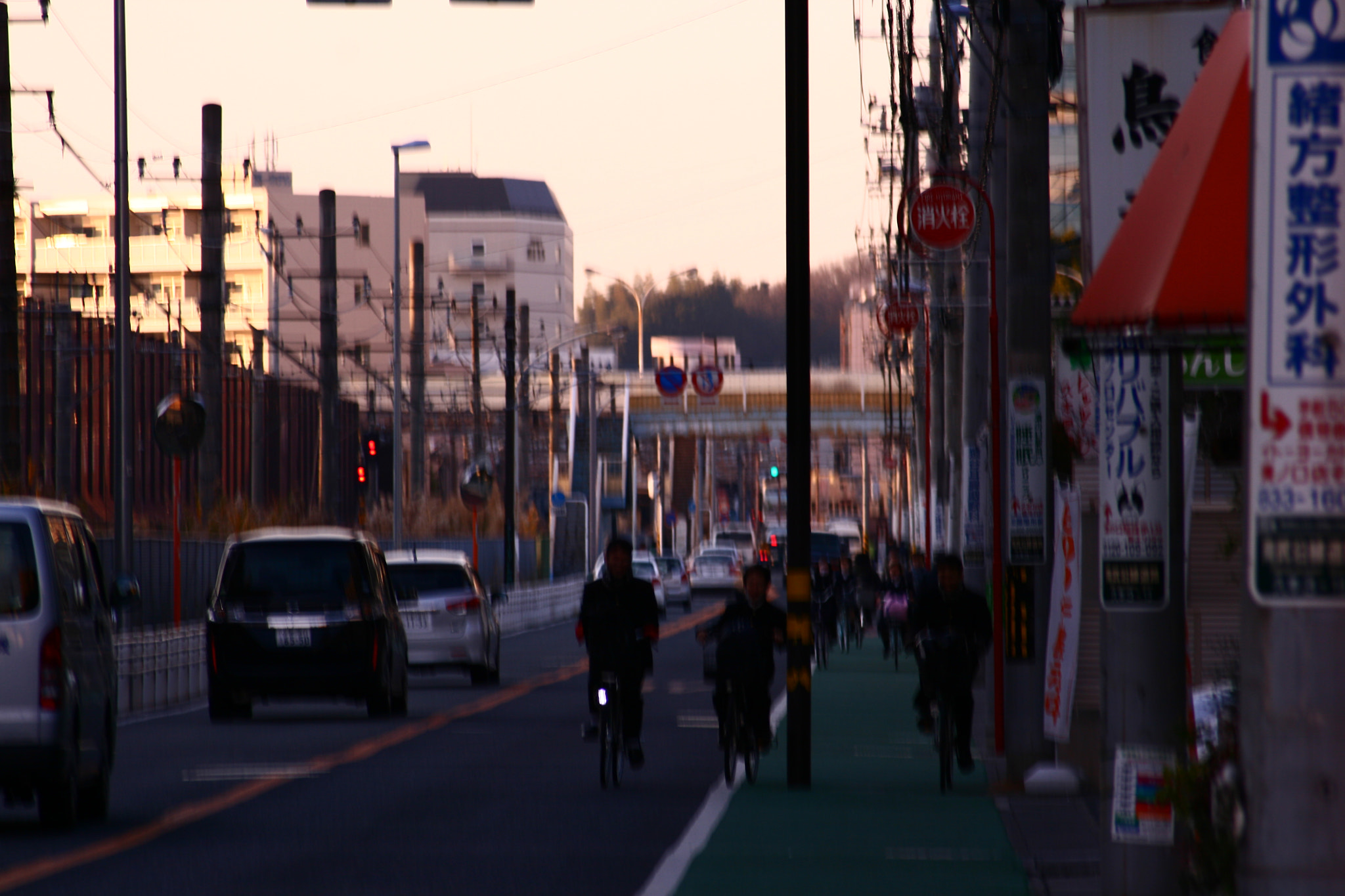 Canon EF 55-200mm F4.5-5.6 II USM sample photo. Passing photography