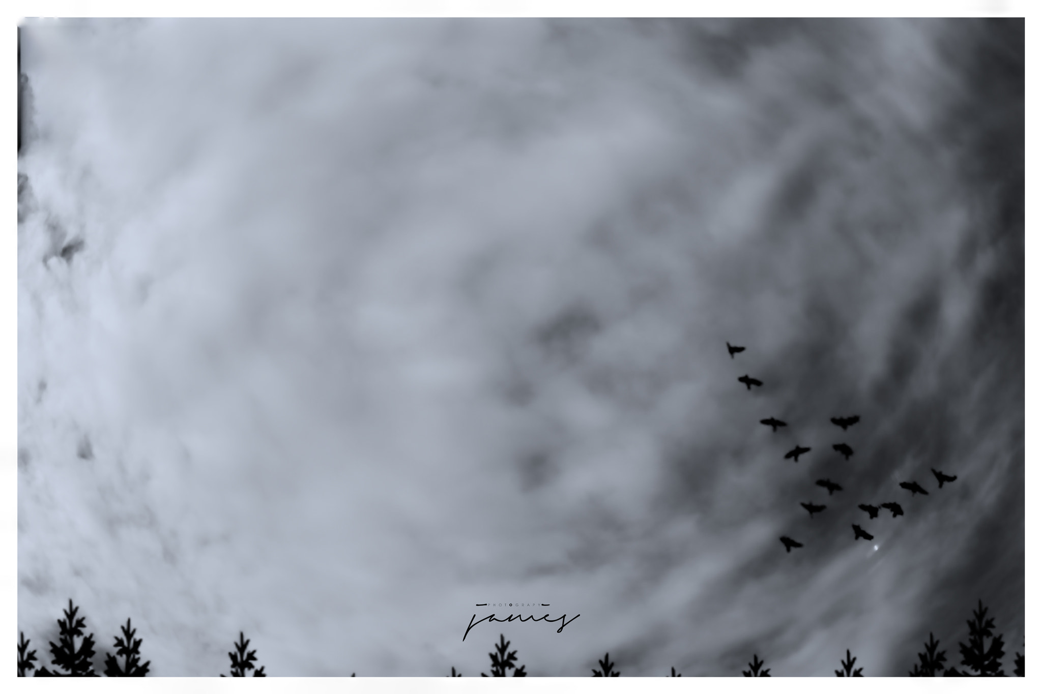 Canon EOS 750D (EOS Rebel T6i / EOS Kiss X8i) sample photo. Slihouette flock of birds.jpg photography