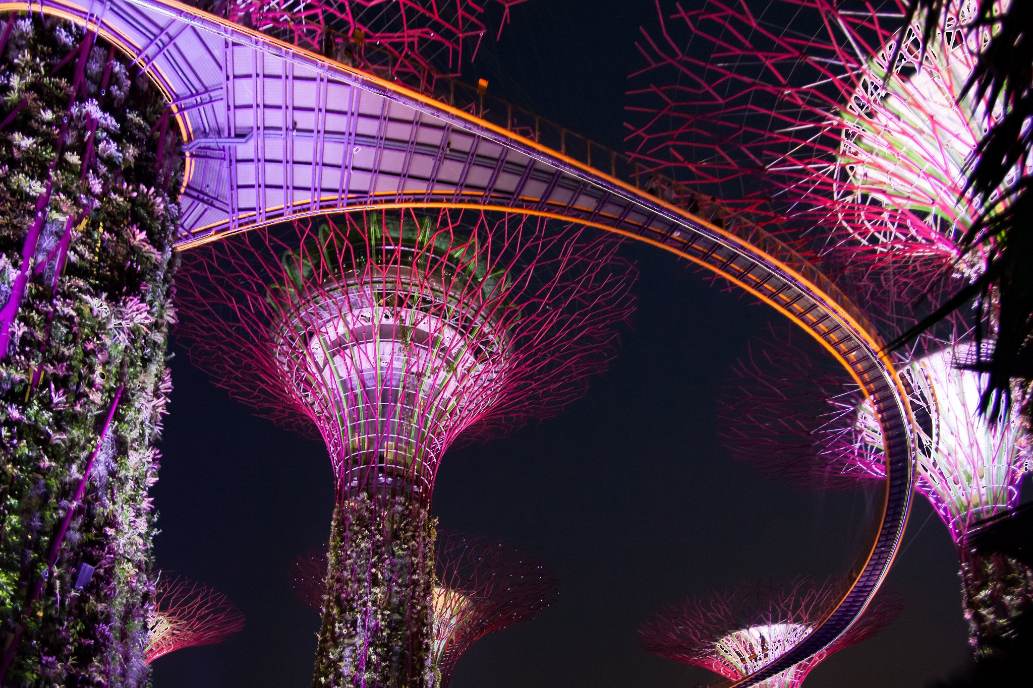 Canon EF 24-85mm F3.5-4.5 USM sample photo. Singapore gardens photography