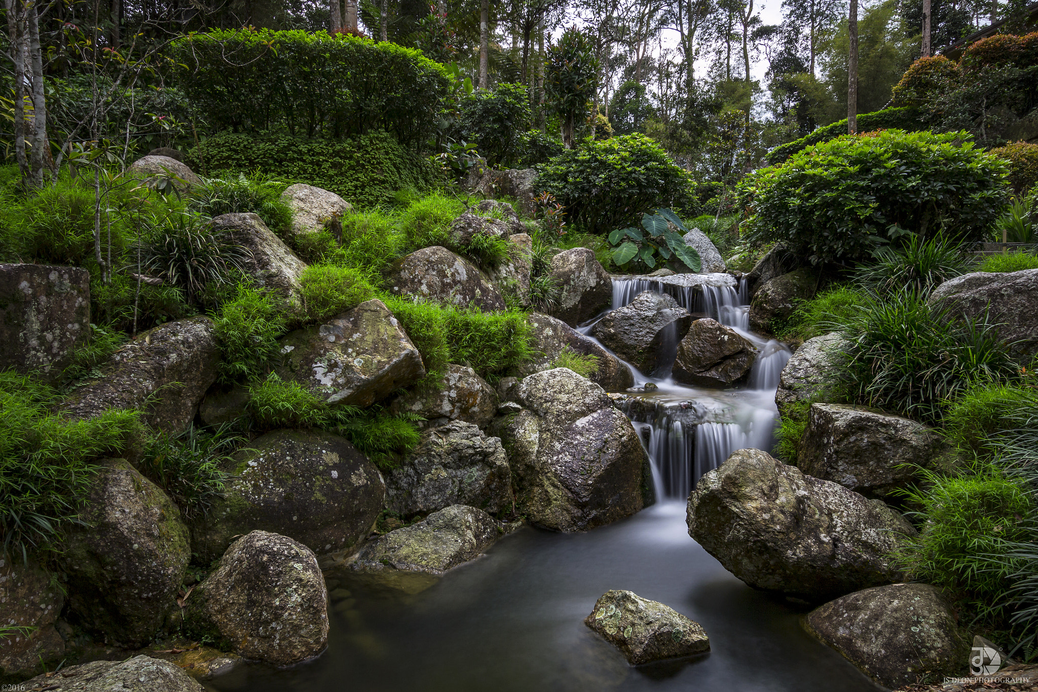 Sigma 10-20mm F3.5 EX DC HSM sample photo. Into the forest photography