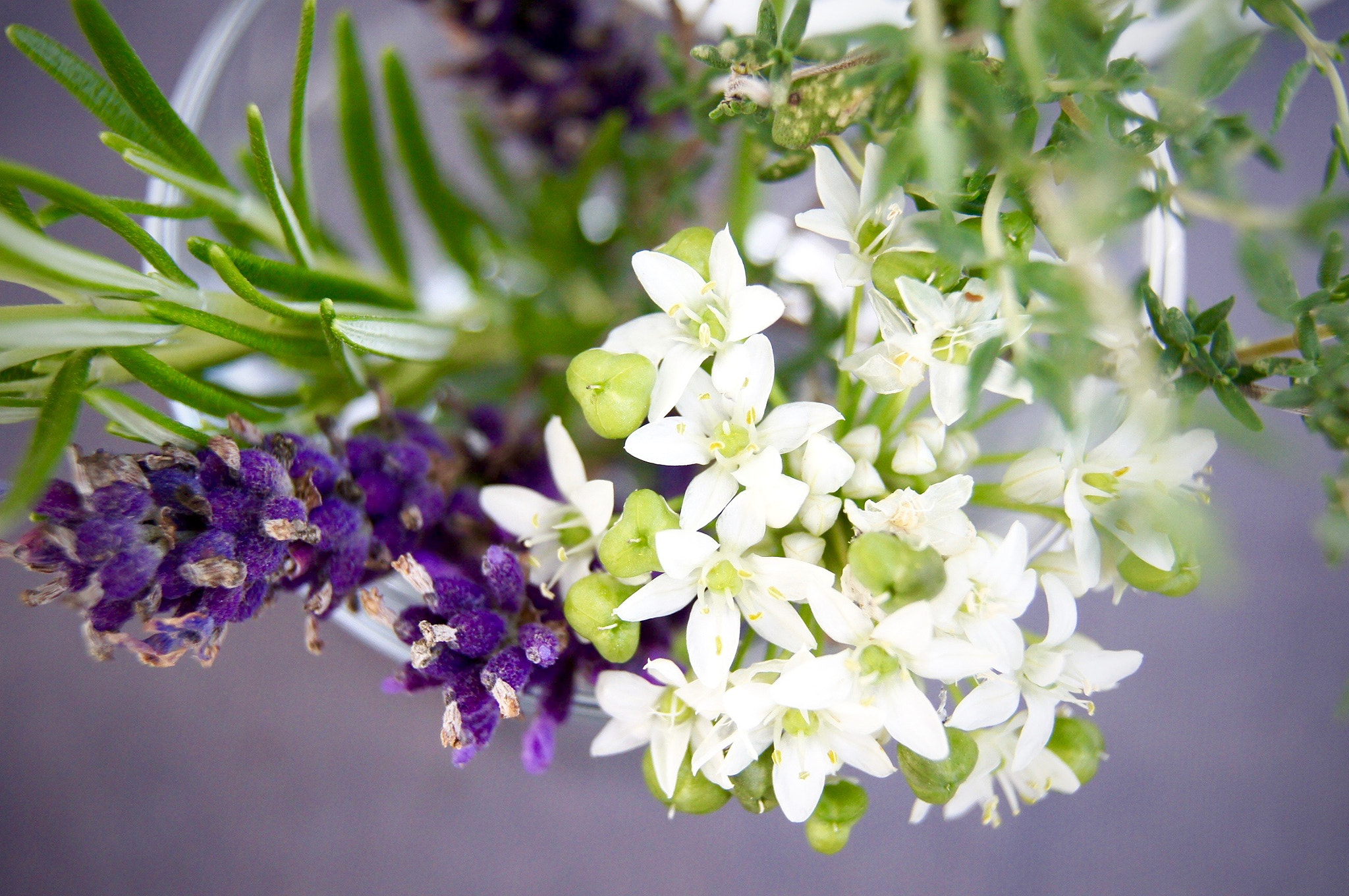 Sony DT 18-55mm F3.5-5.6 SAM II sample photo. Spring's beautiful garden photography