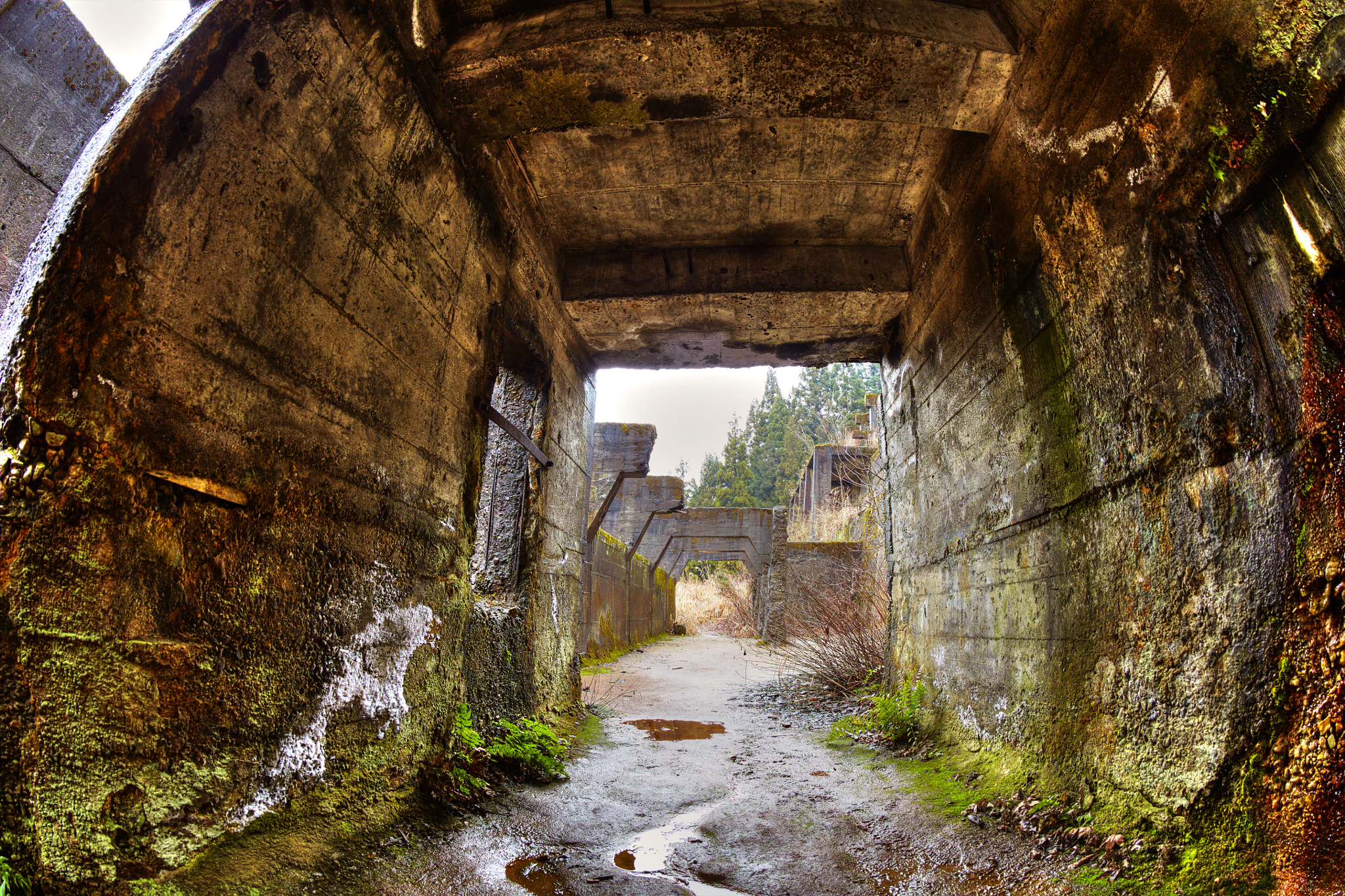 Canon EF 8-15mm F4L Fisheye USM sample photo. Labyrinth photography