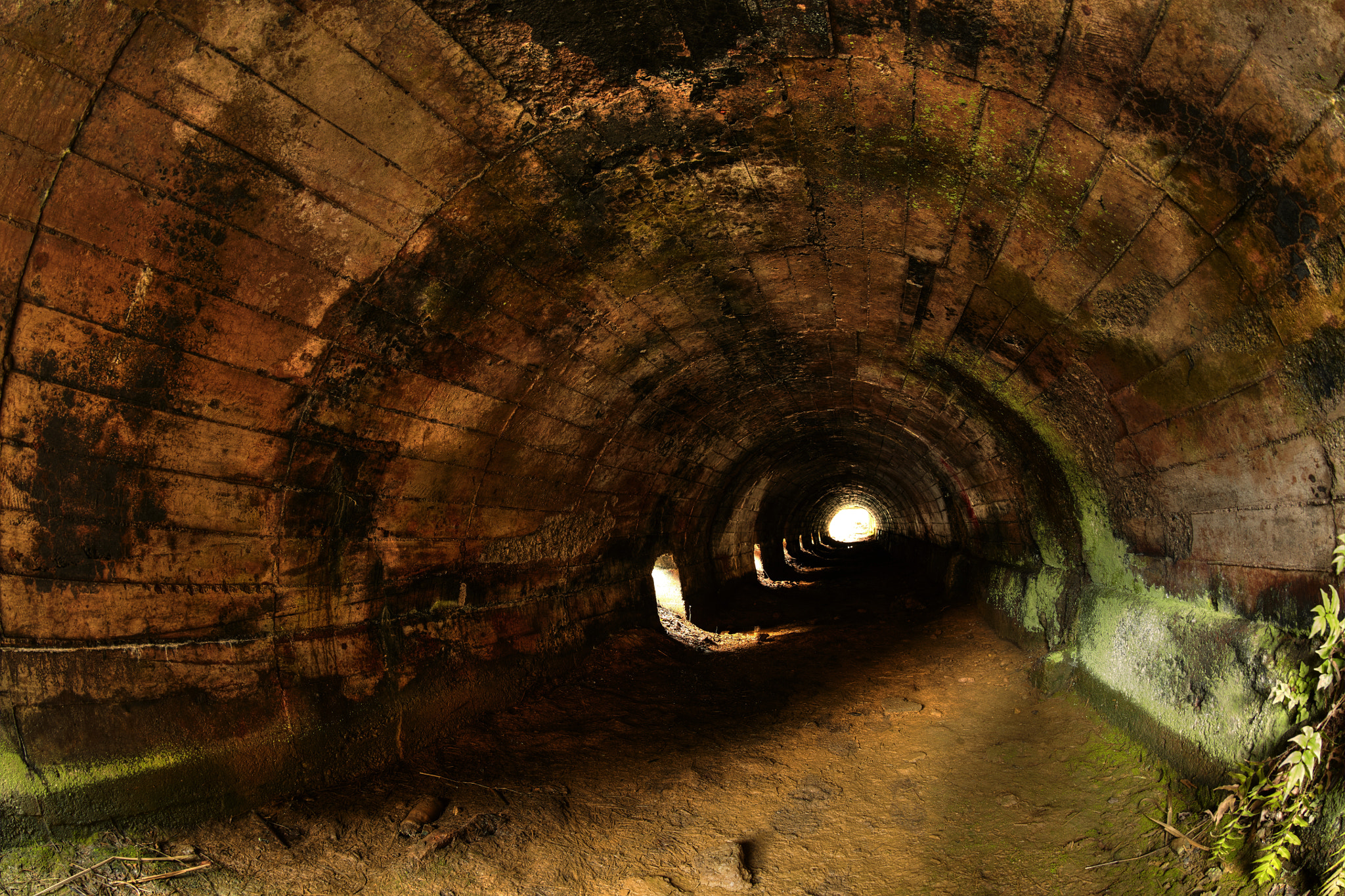 Canon EF 8-15mm F4L Fisheye USM sample photo. Labyrinth photography