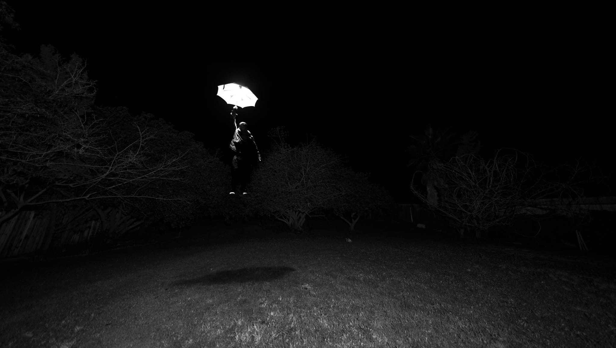 Canon EF 14mm F2.8L II USM sample photo. Poppins photography