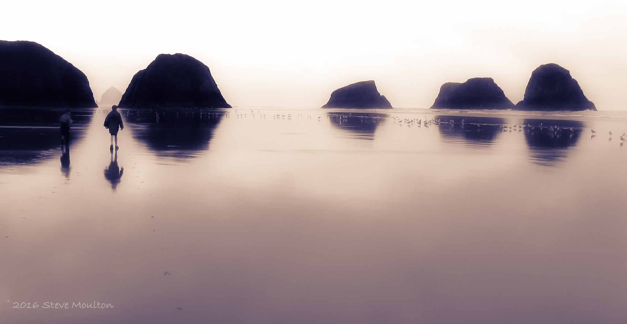 Canon POWERSHOT G3 sample photo. Crescent beach at low tide photography