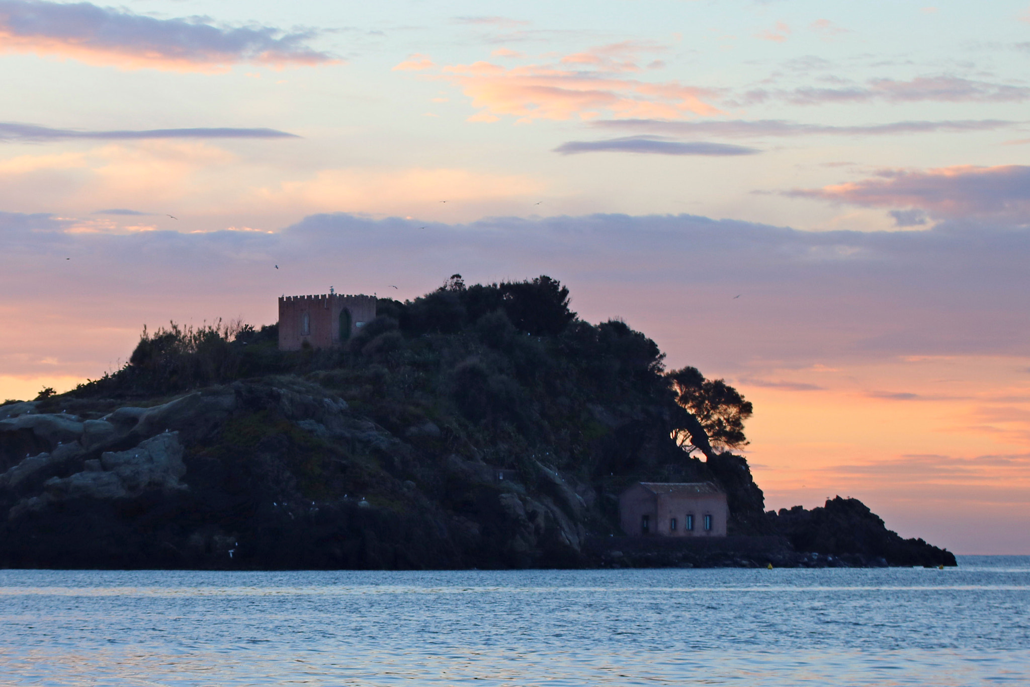 Tamron SP 35mm F1.8 Di VC USD sample photo. Isola lachea photography