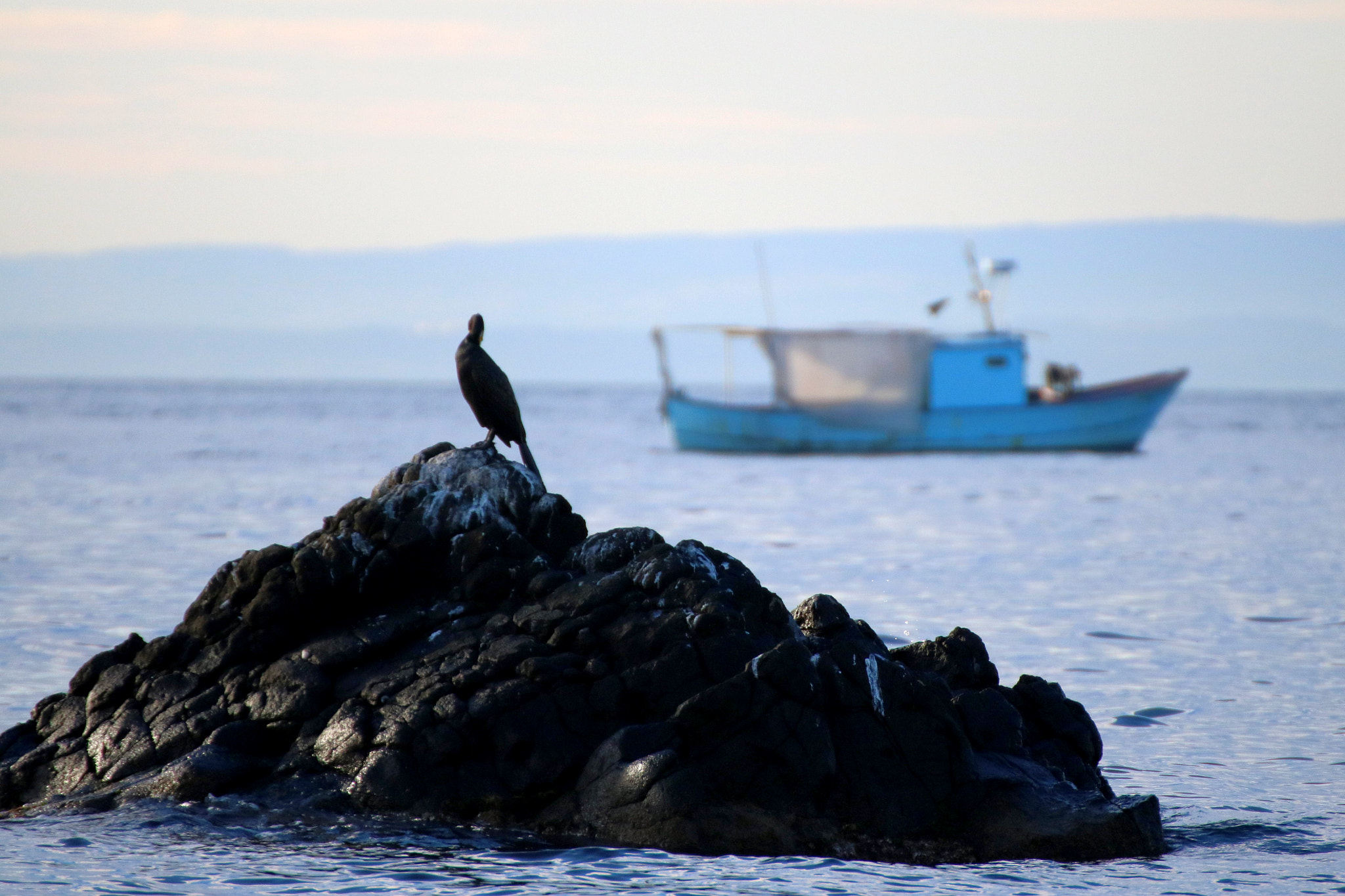 Tamron SP 35mm F1.8 Di VC USD sample photo. Cormorano e barca ii photography