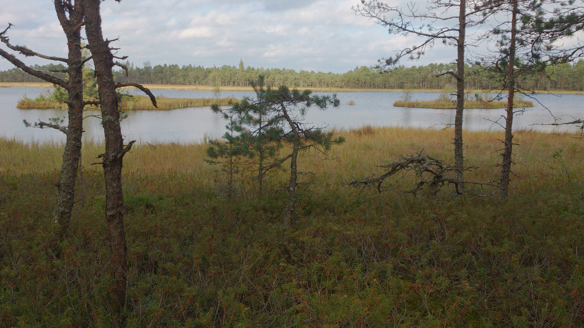 Sony Xperia V sample photo. 154.jpg photography