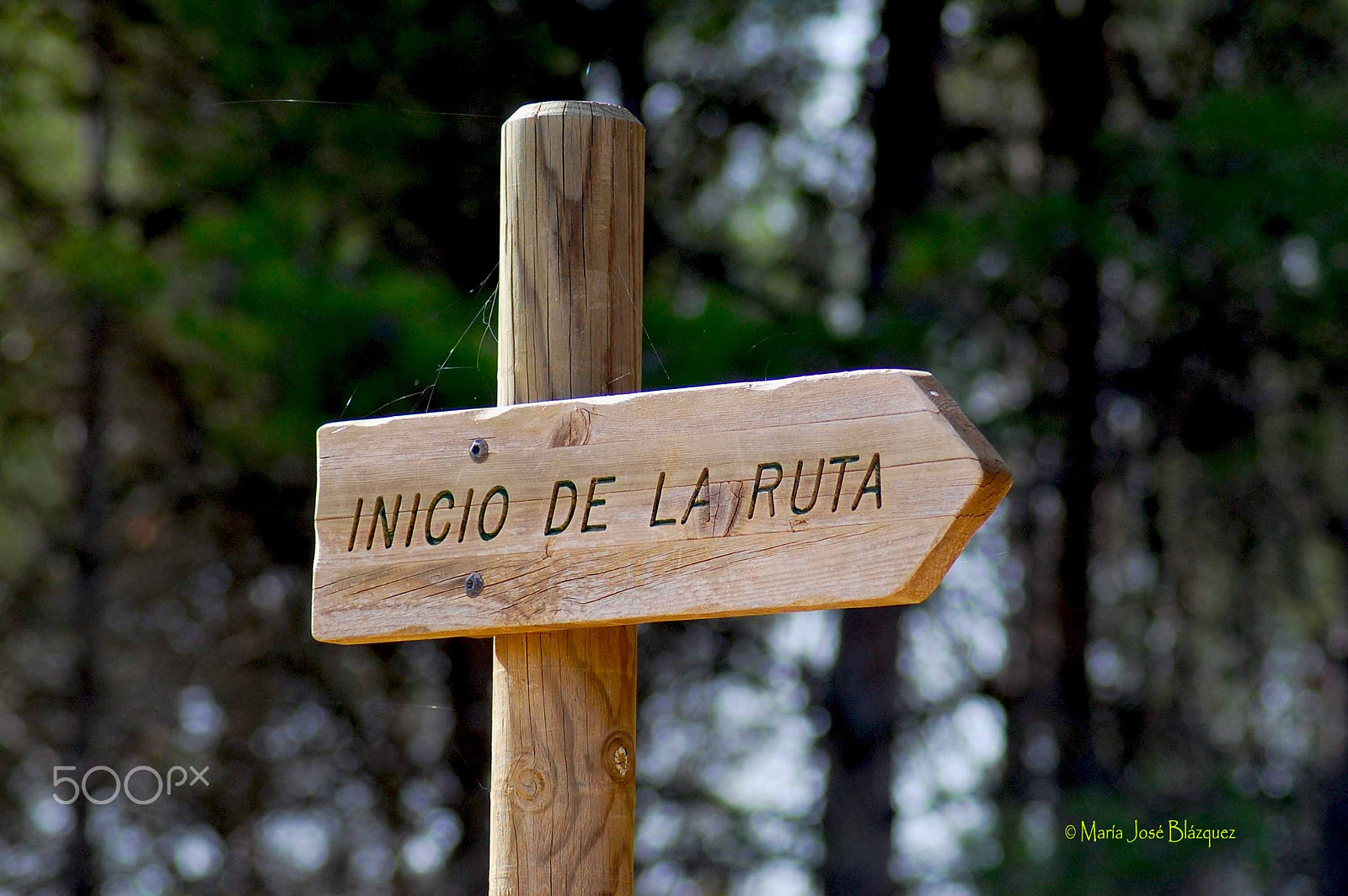 Nikon D40 sample photo. The beginning of a journey photography