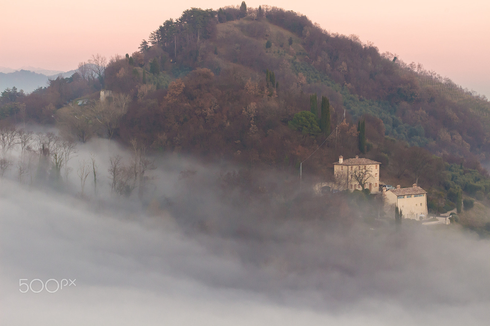Canon EOS 100D (EOS Rebel SL1 / EOS Kiss X7) + Canon EF 50mm F1.4 USM sample photo. Rocca asolo photography
