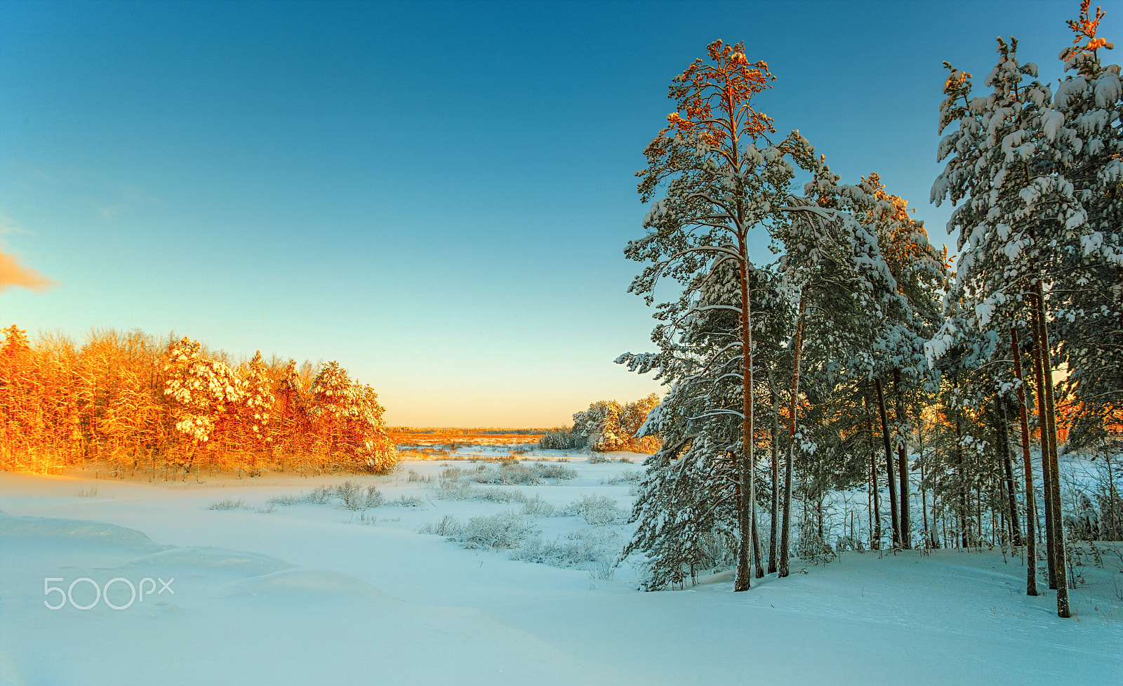 17.0 - 40.0 mm sample photo. Siberian history photography