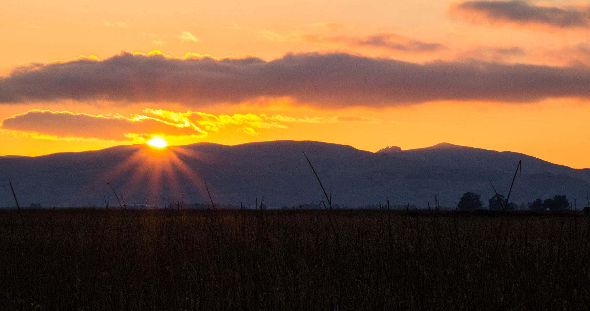 Sony Alpha a3000 sample photo. Suisun marsh sunset photography
