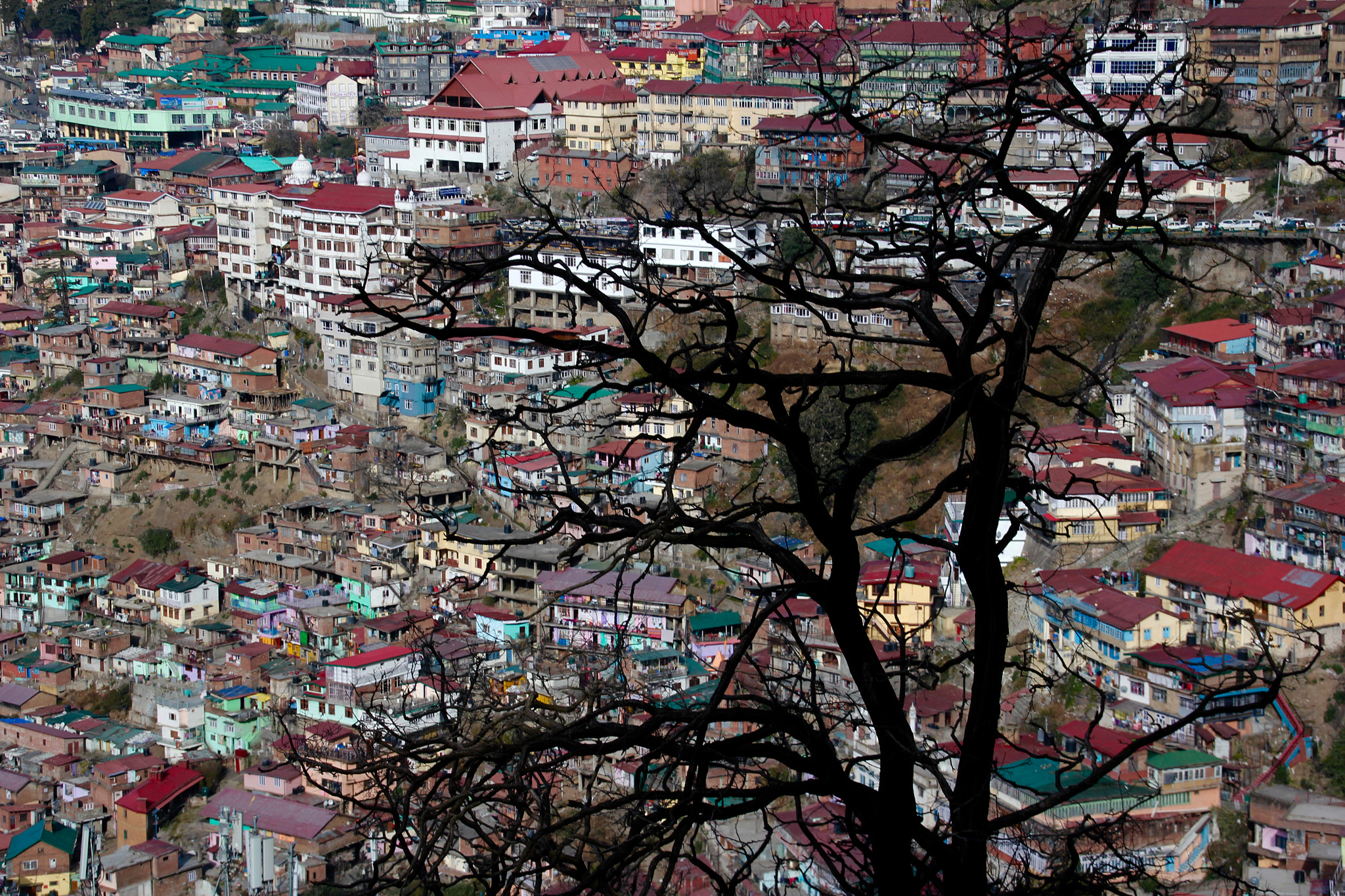Sigma 18-125mm F3.8-5.6 DC OS HSM sample photo. Shimla, india photography
