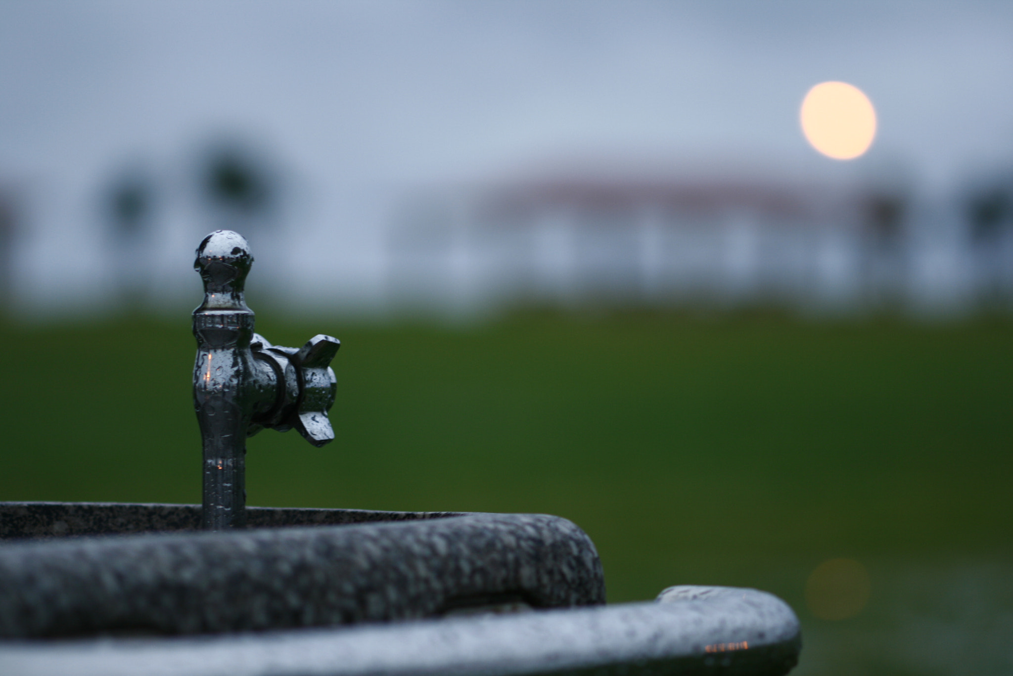 Canon EF 100mm F2.8 Macro USM sample photo. 豊崎 photography